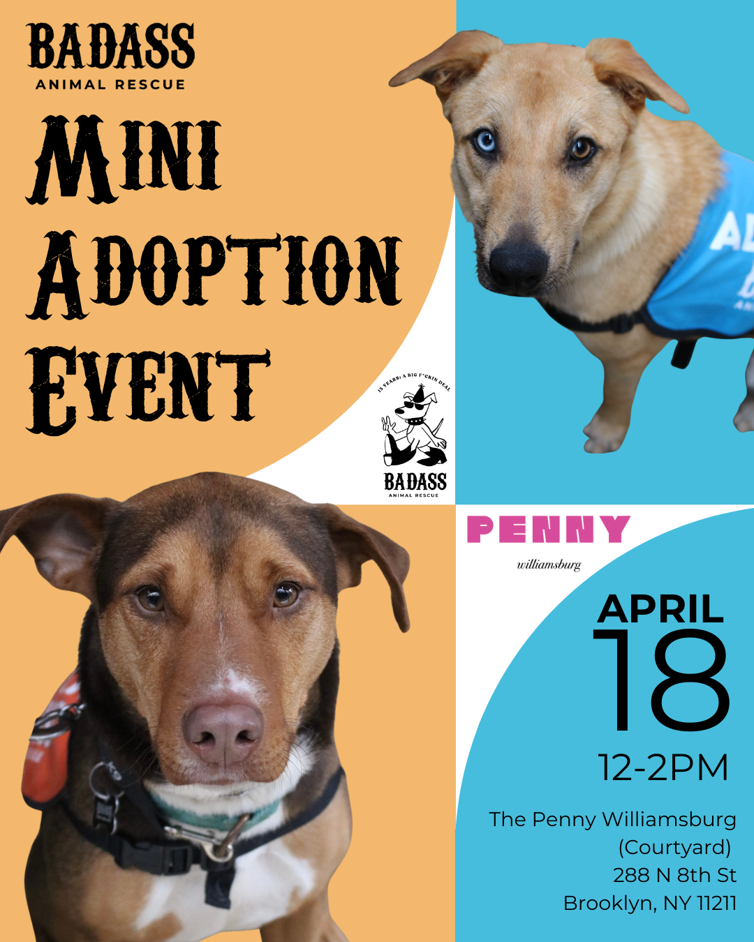 Mini Adoption Event @ The Penny Willamsburg
