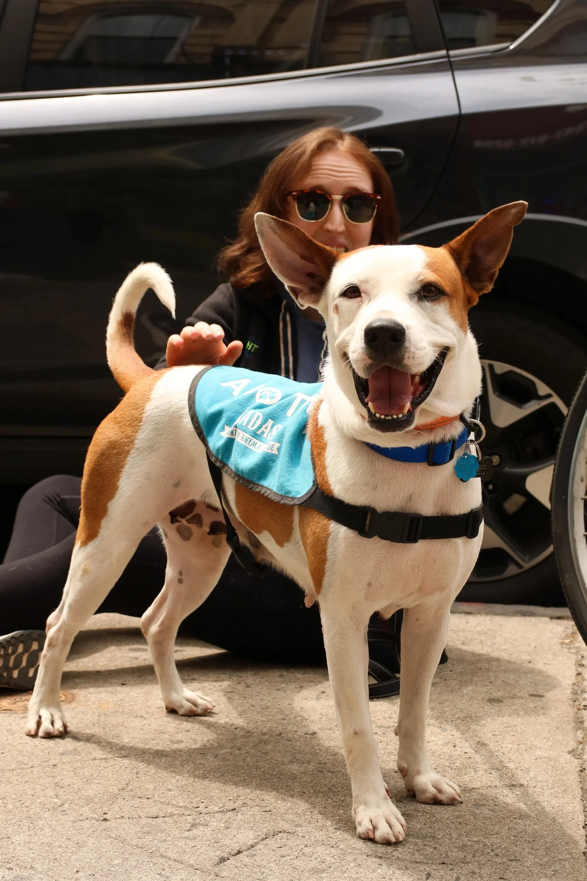Cleopatra+-+Adoption+Event+-+Gigi+Schweitzer+2.jpg