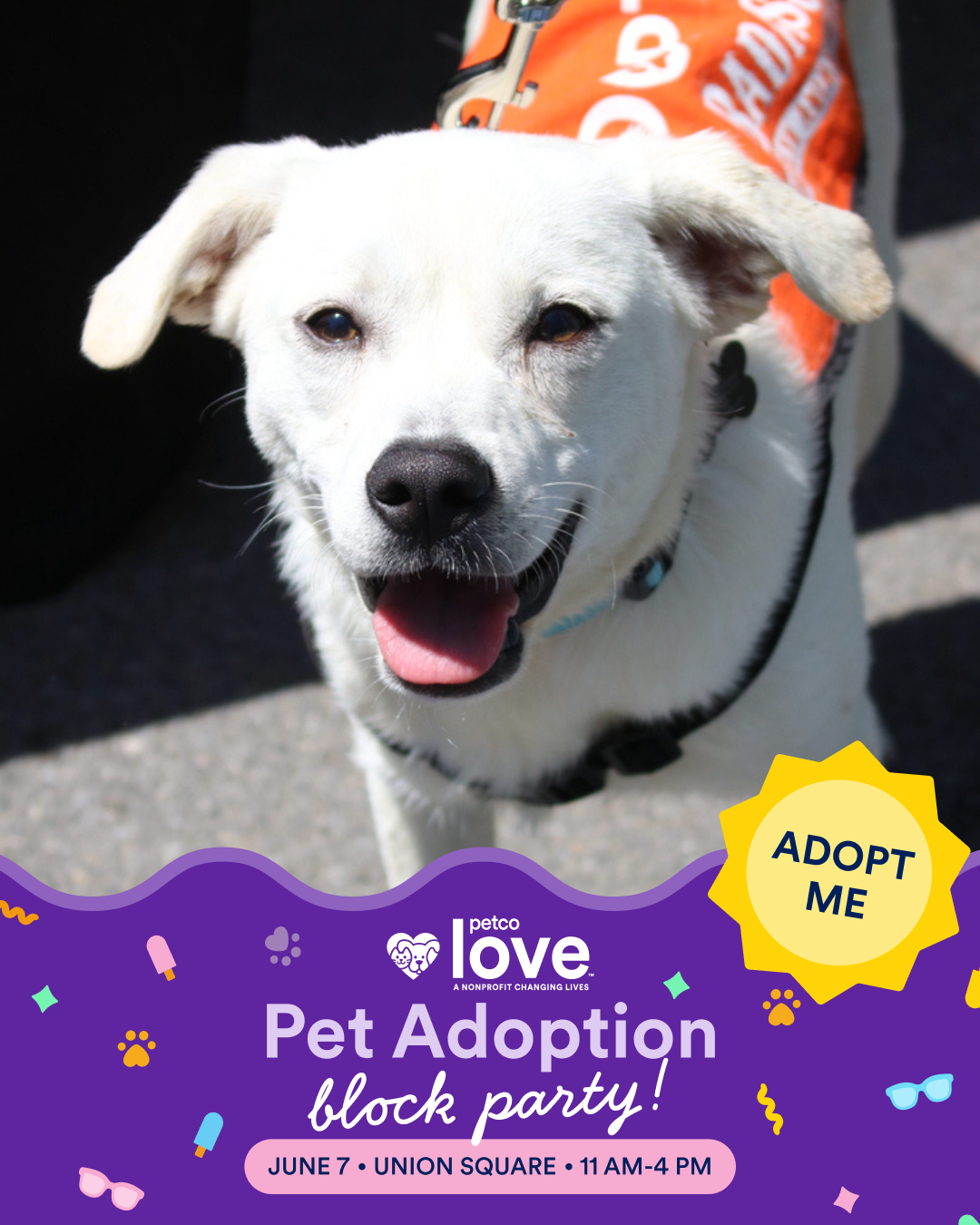 Petco Love Mega Adoption Event