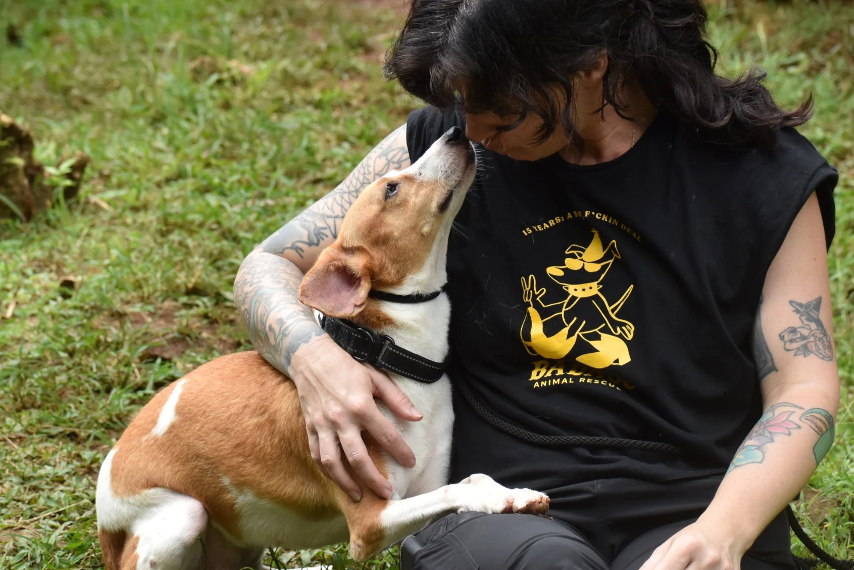 Emerald+Pool+-+Shelter+23.png