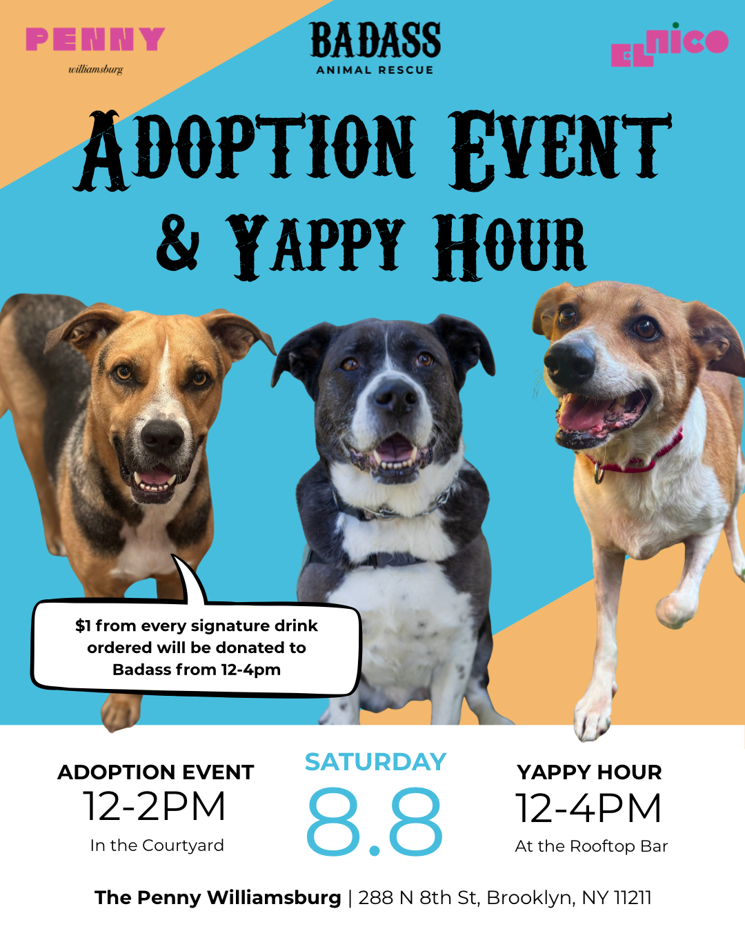 Adoption Event @ The Penny Hotel