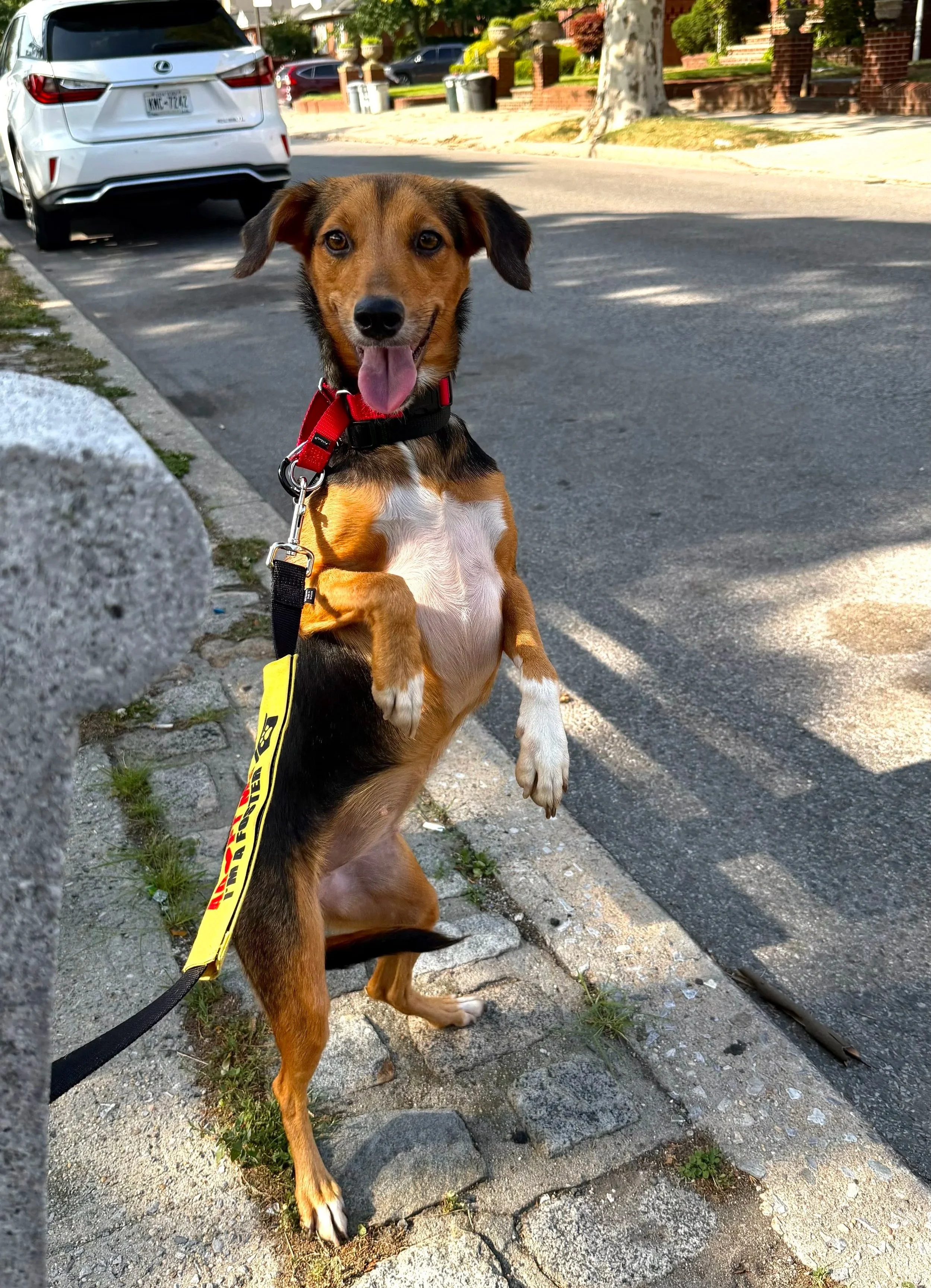 Mero+Beach+-+NYC+Foster+1.jpg