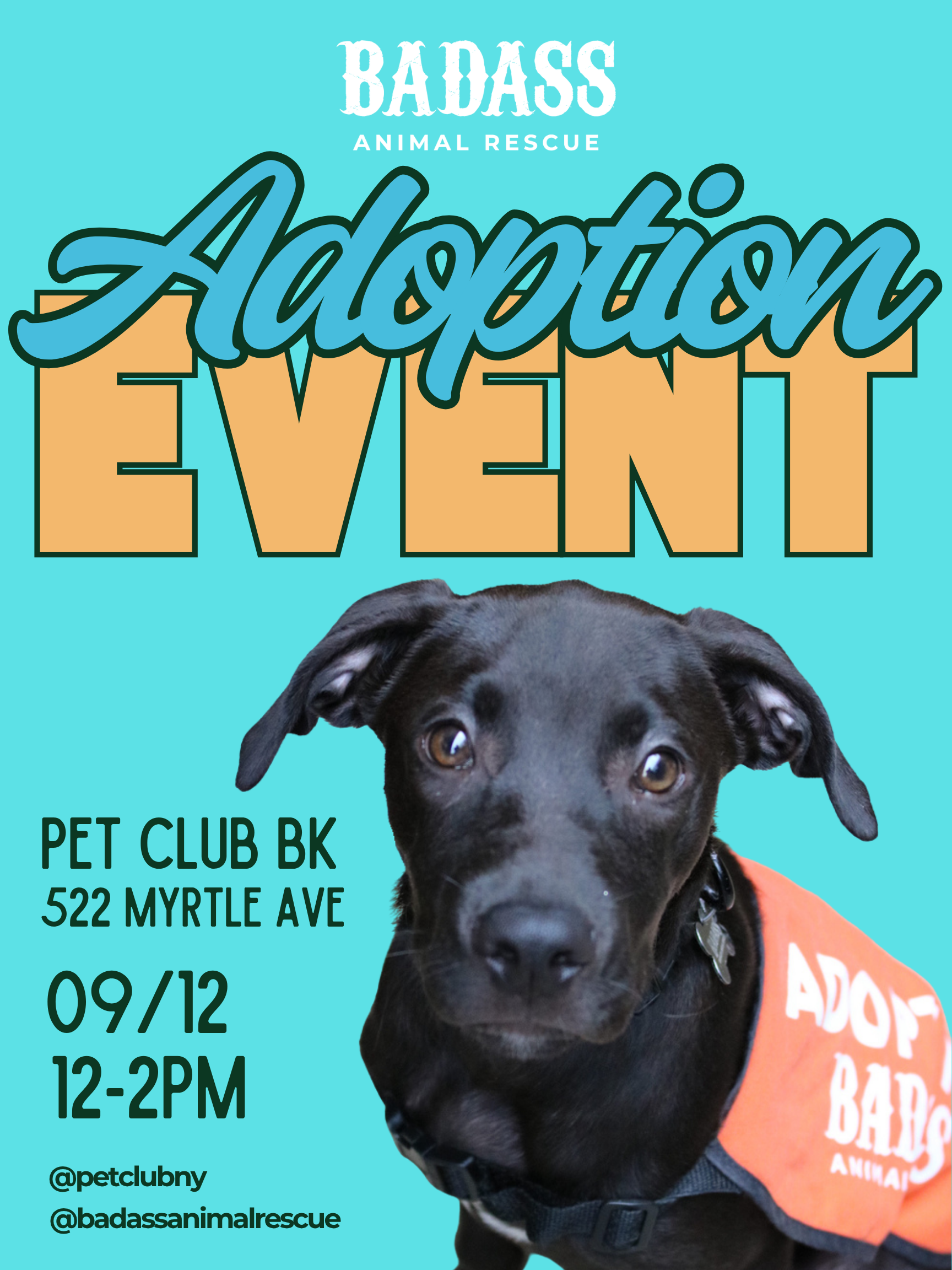 Adoption Event @ Pet Club BK Myrtle Ave