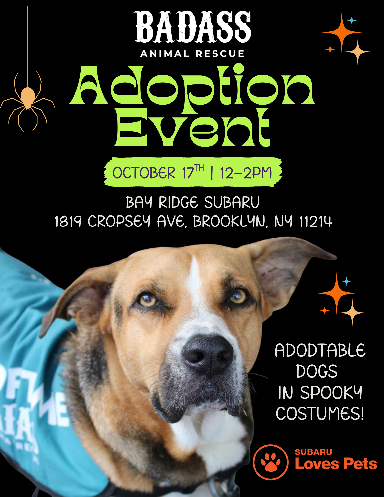 Adoption Event @ Bay Ridge Subaru