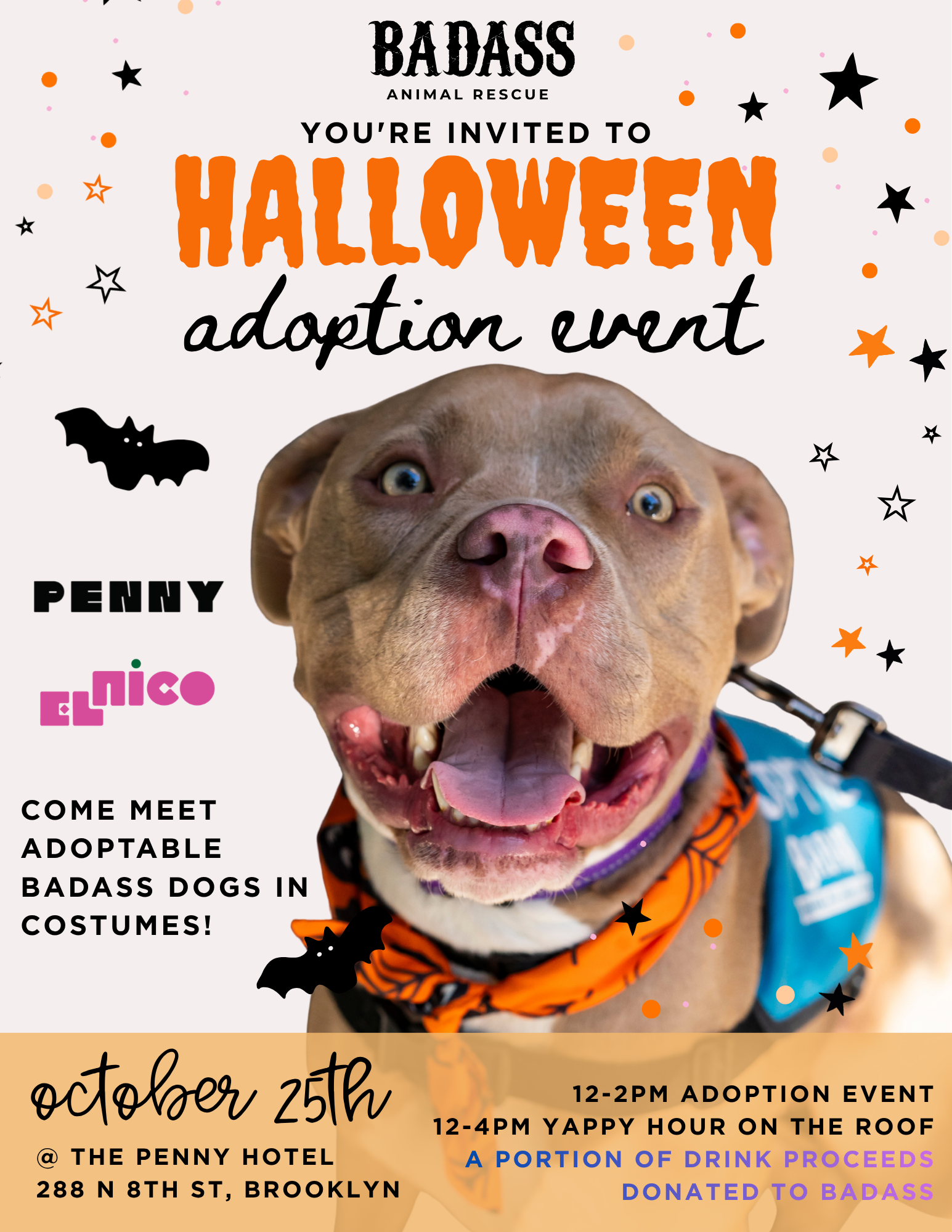 Halloween Adoption Event @ The Penny Hotel