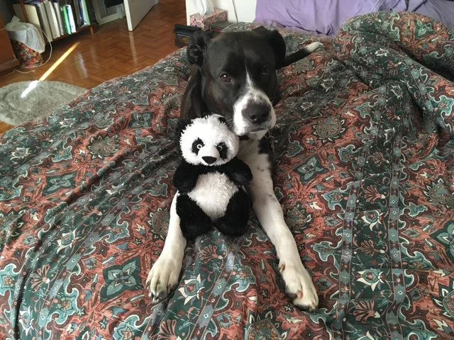 Justine Biagi - Cassidy - Alumni 2.jpg