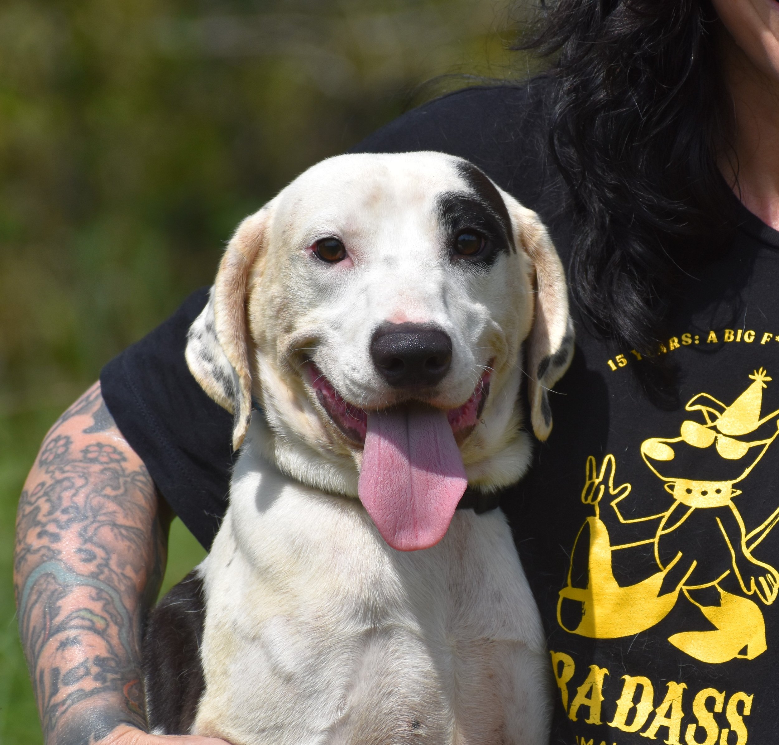 Tumblr