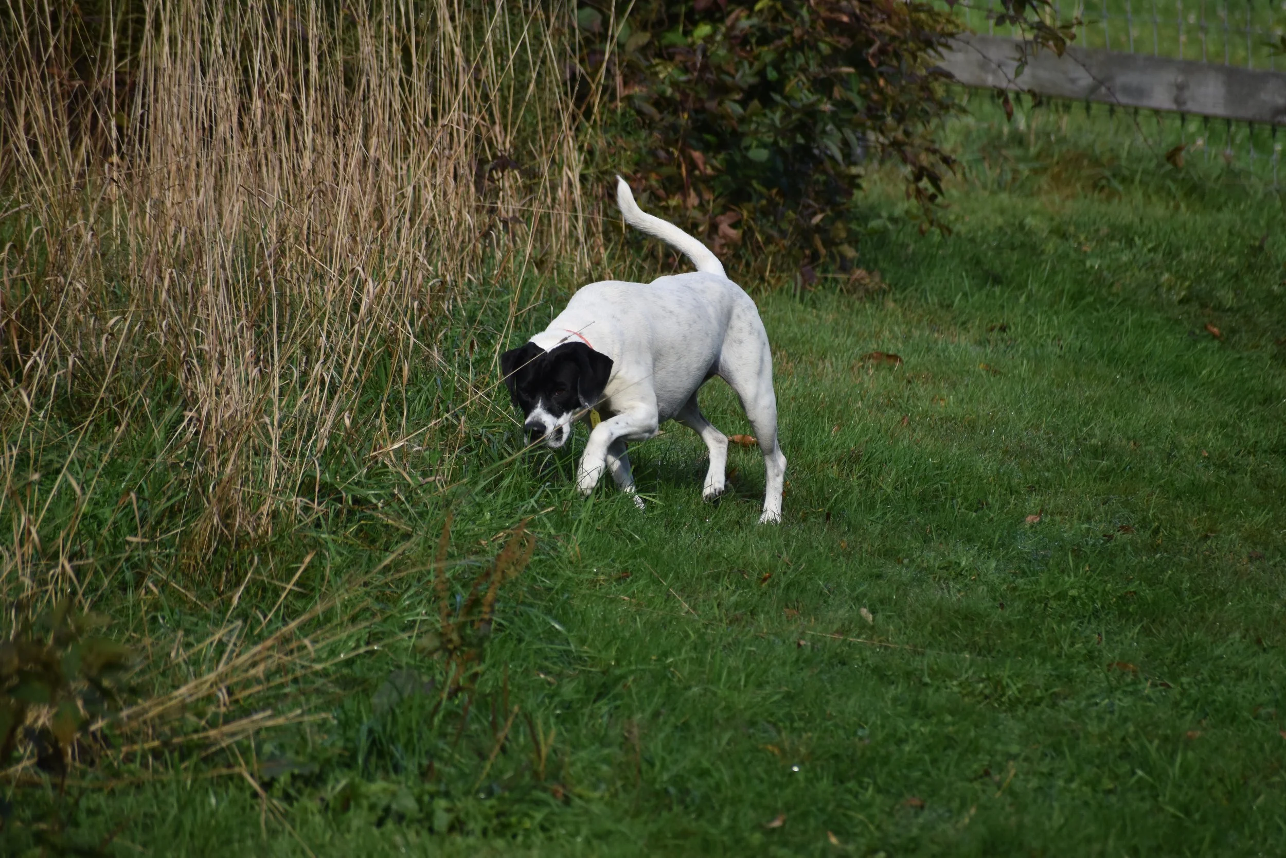 DSC_0284.JPG