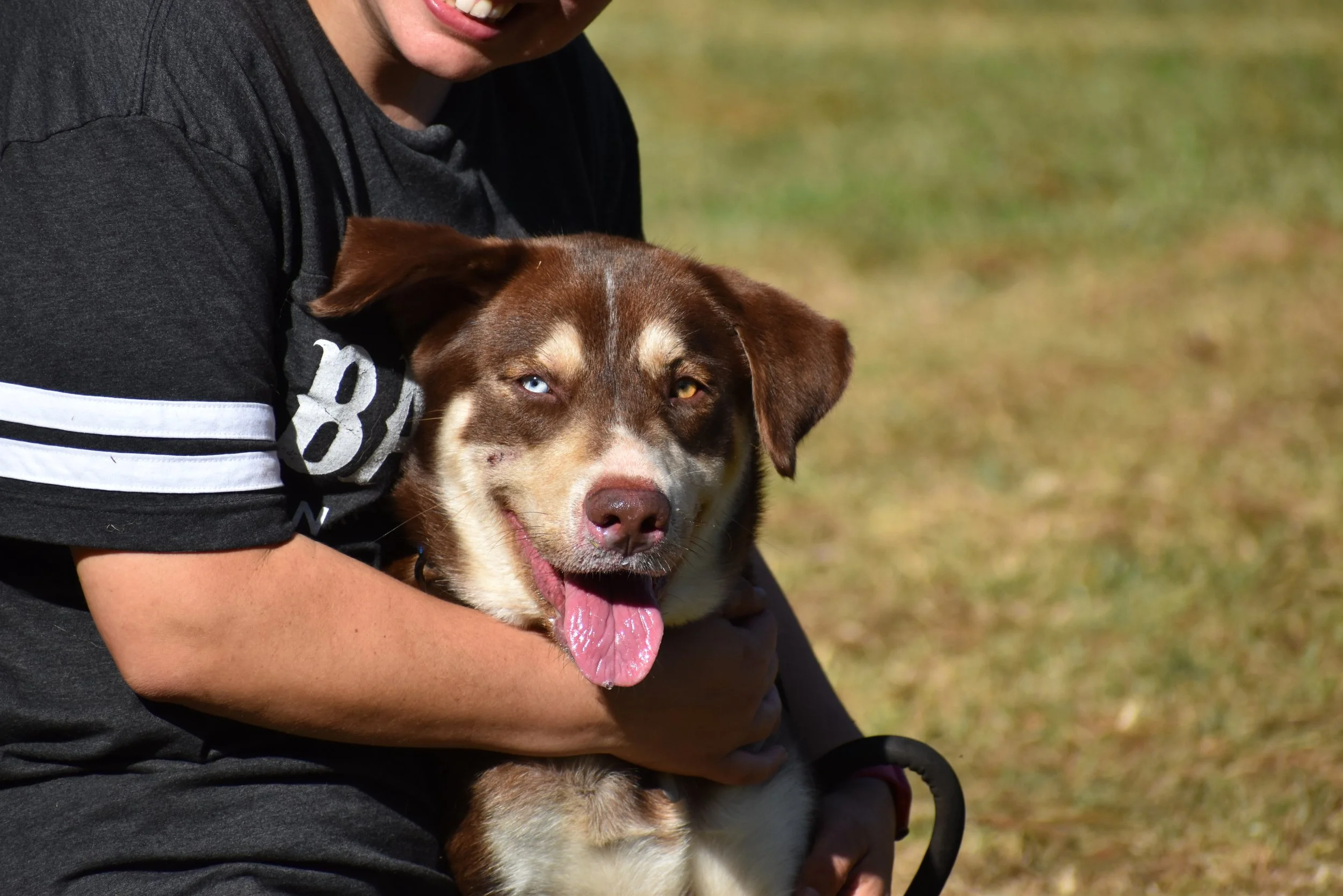 Leo Messi - Shelter 9.JPG