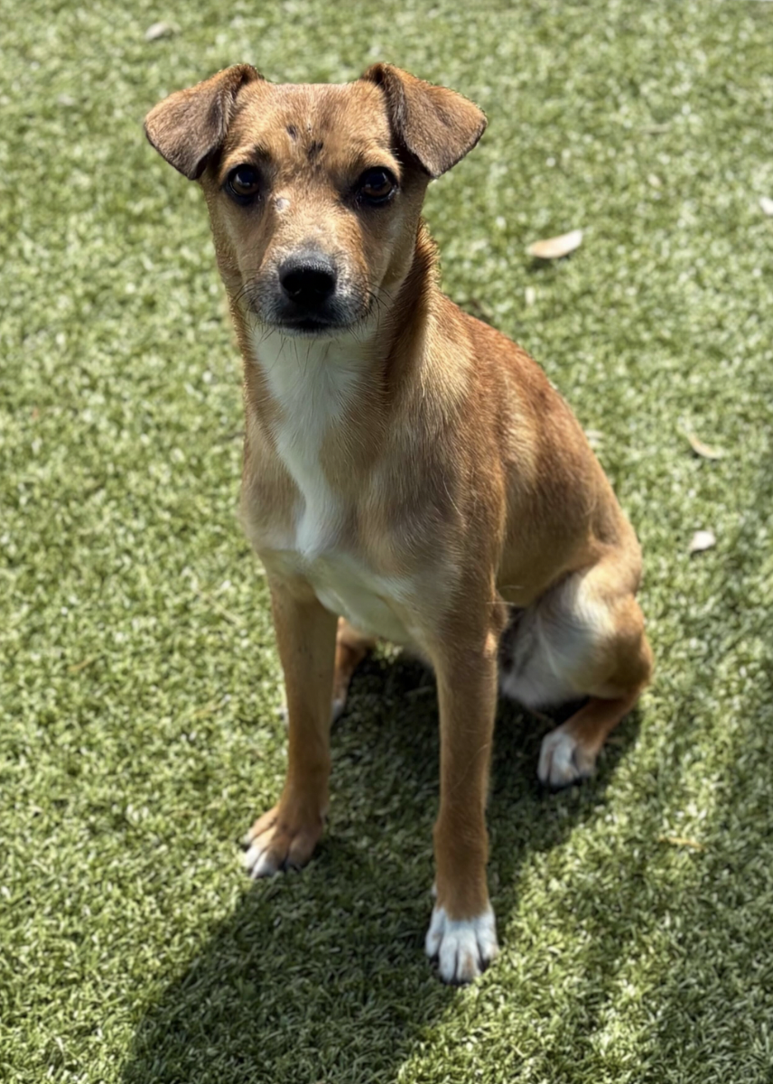 Screenshot 2026-03-05 at 8.50.45 PM.png