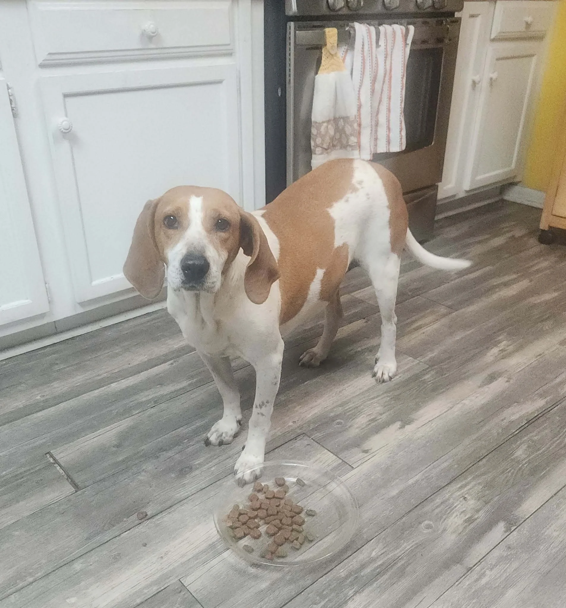 66777aa4-9363-46c0-9533-a13d5f5050d0 (2).jpeg