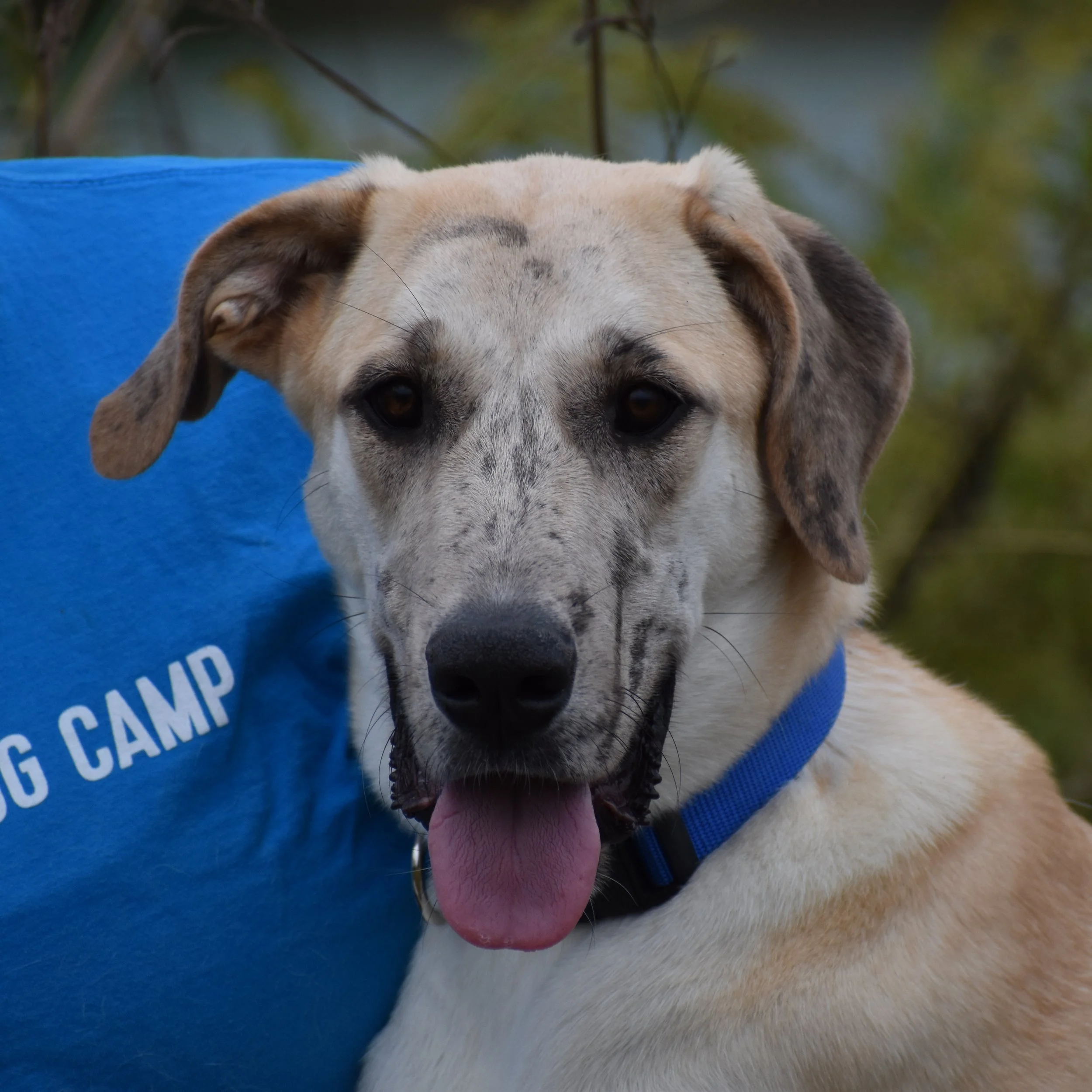 Emma Meesseman - Shelter 5.JPG