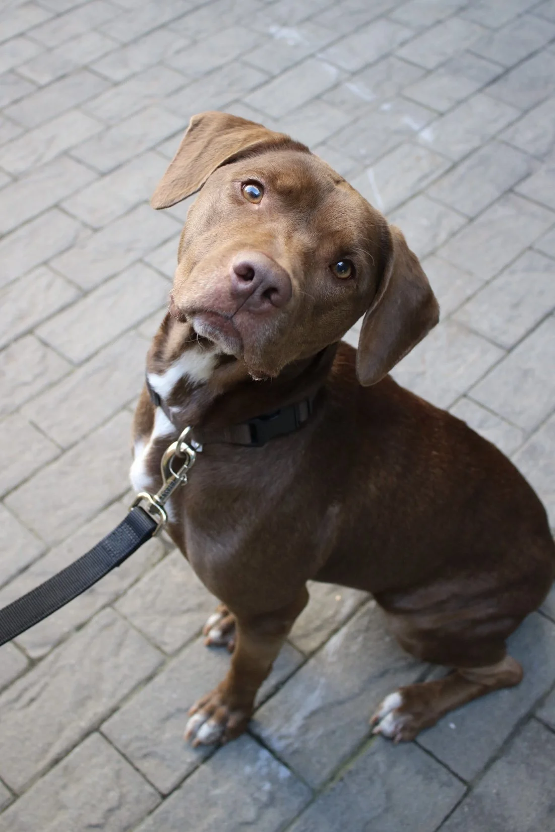 Lucy Liu - Adoption Event - Clare Lockhart 4.JPG