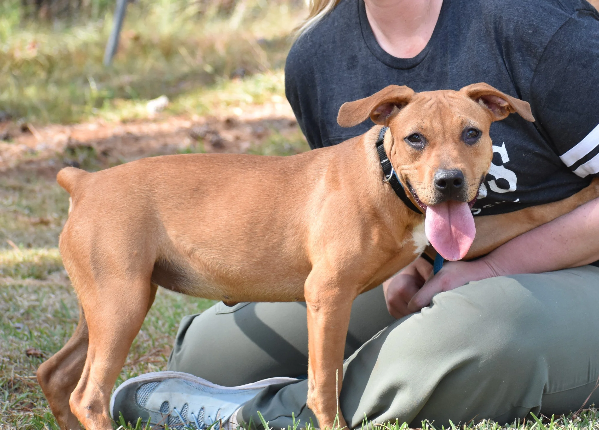 Coco Gauff - Shelter 6.JPG