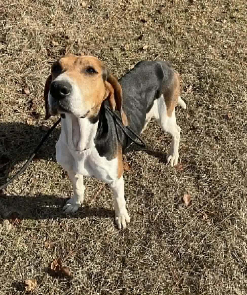 b281dc16-9f57-4be0-9cc1-f6939a97ac16 (1).jpeg