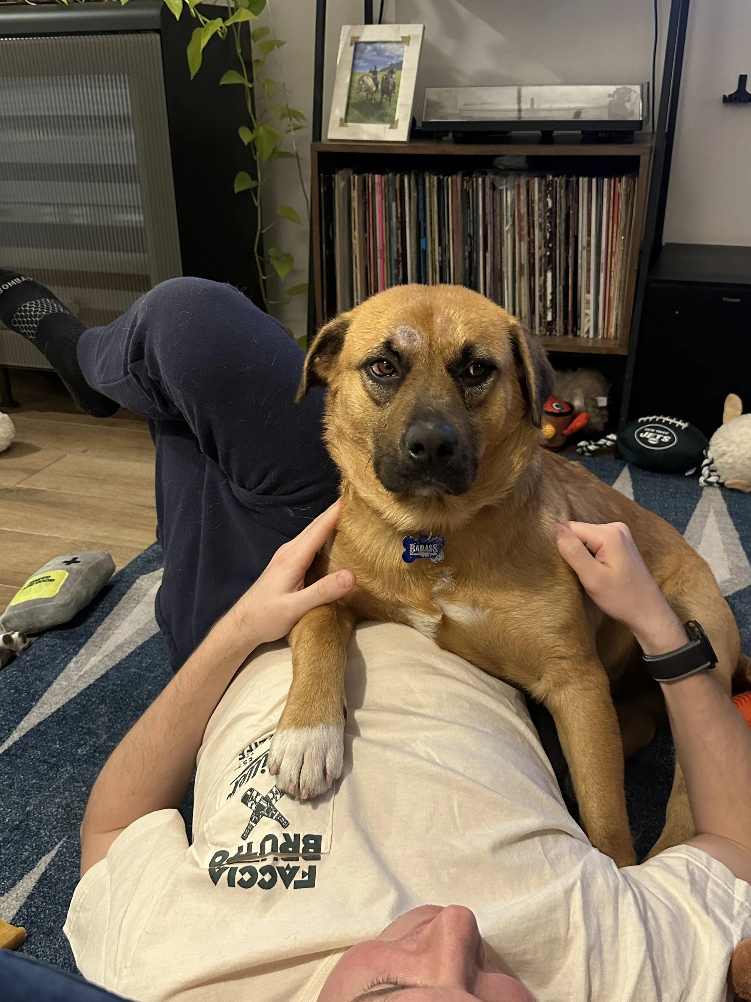 Rob Rausch- NYC Foster 19.jpeg