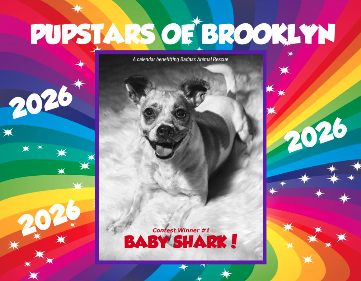 Pupstars of Brooklyn