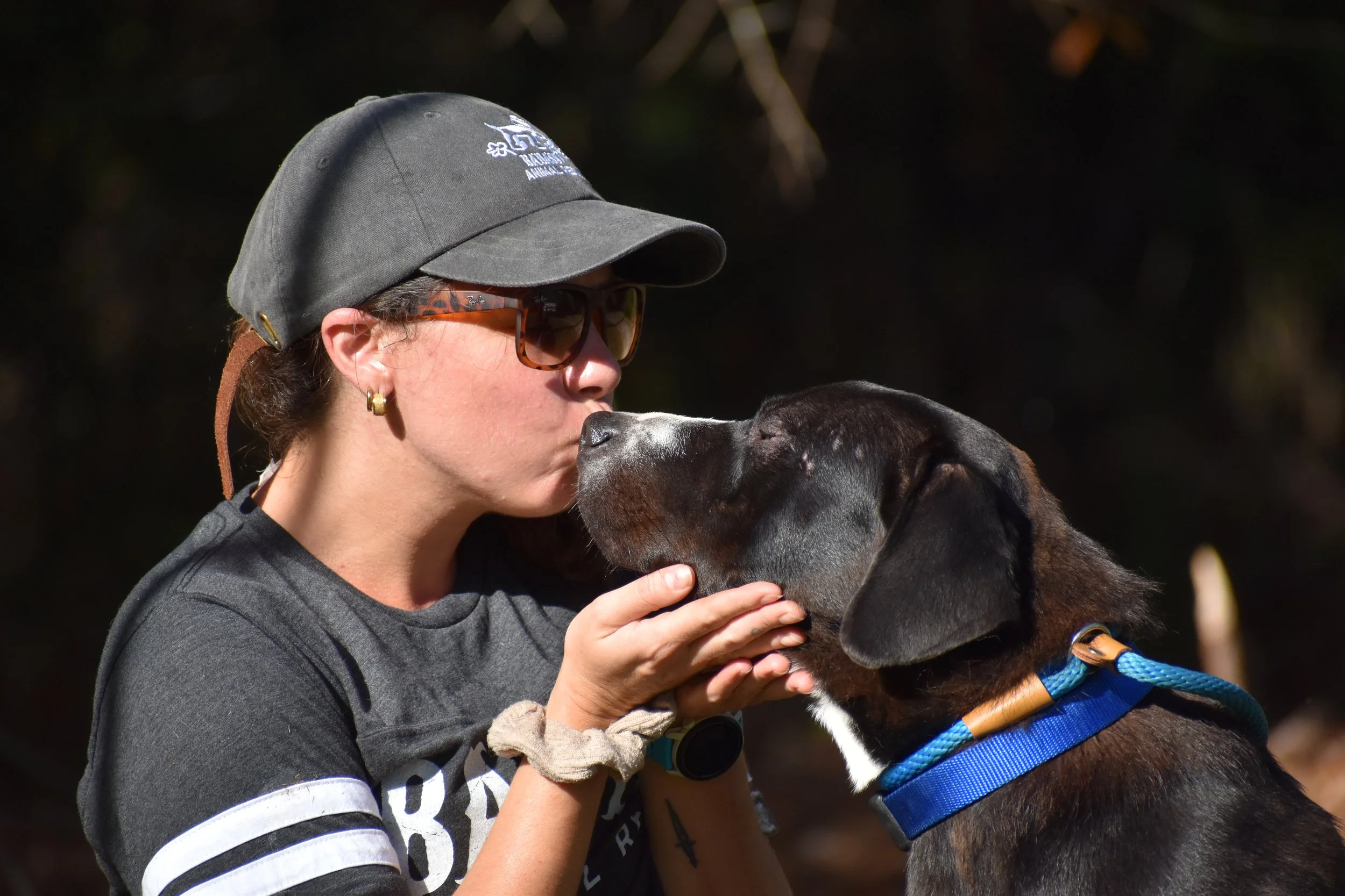 Khalil Shakir - Shelter 1.JPG