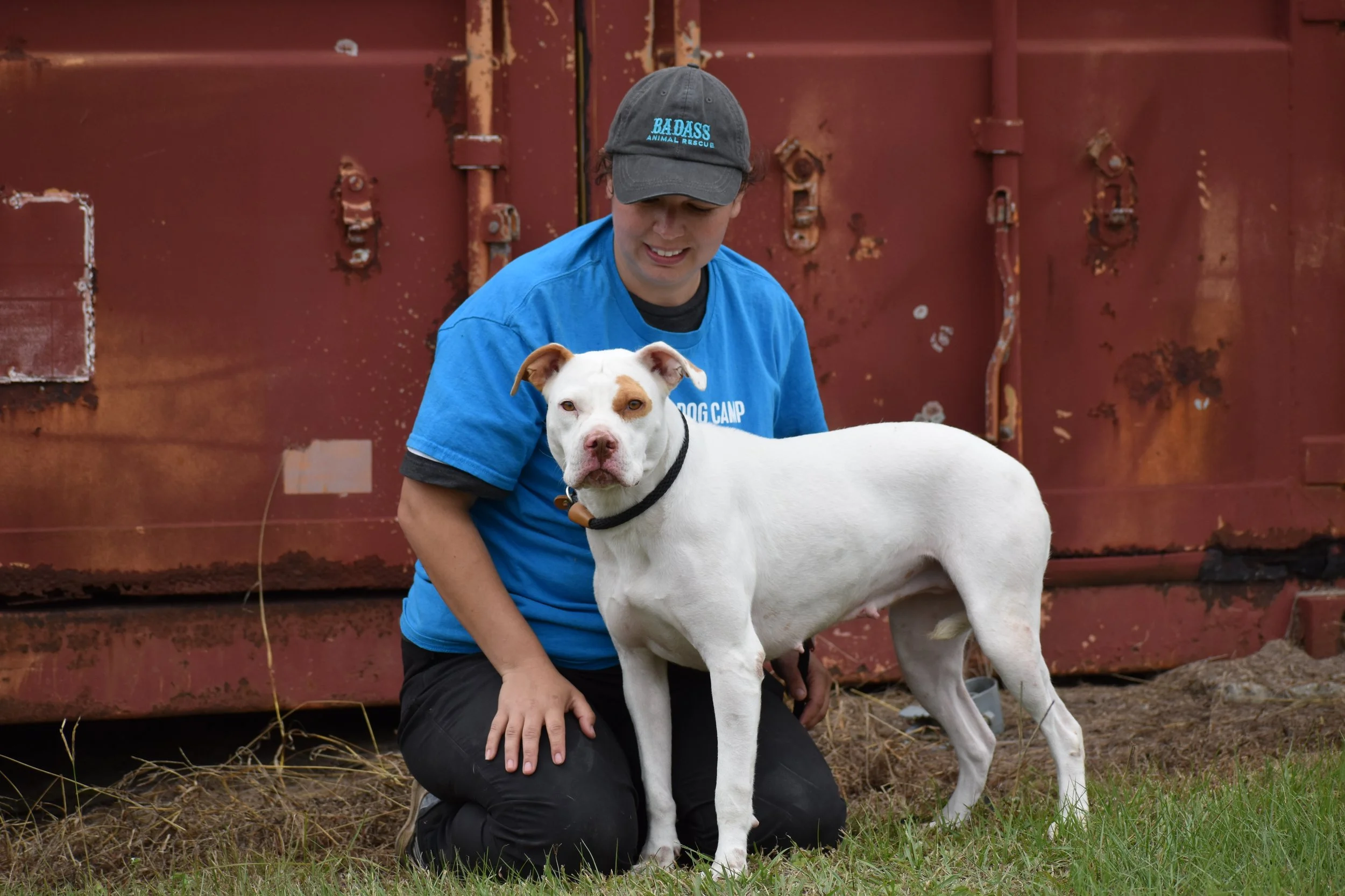 Kyra Milligan - Shelter 10.JPG