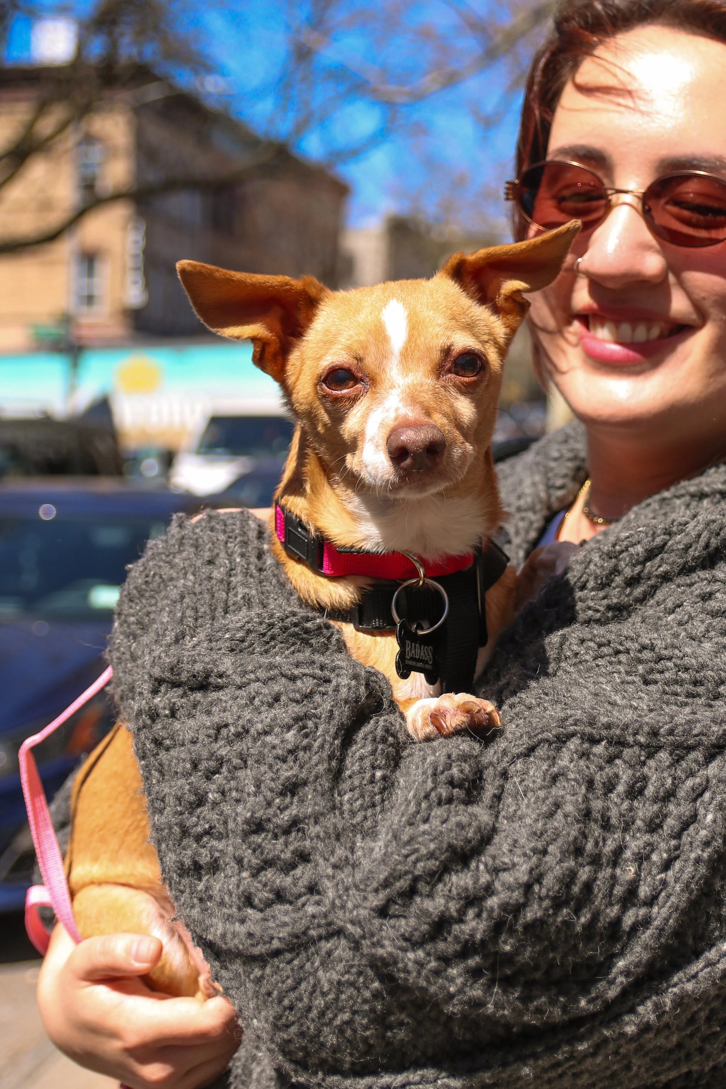 Amy Madigan - Adoption Event - Gigi 2 (1).jpg
