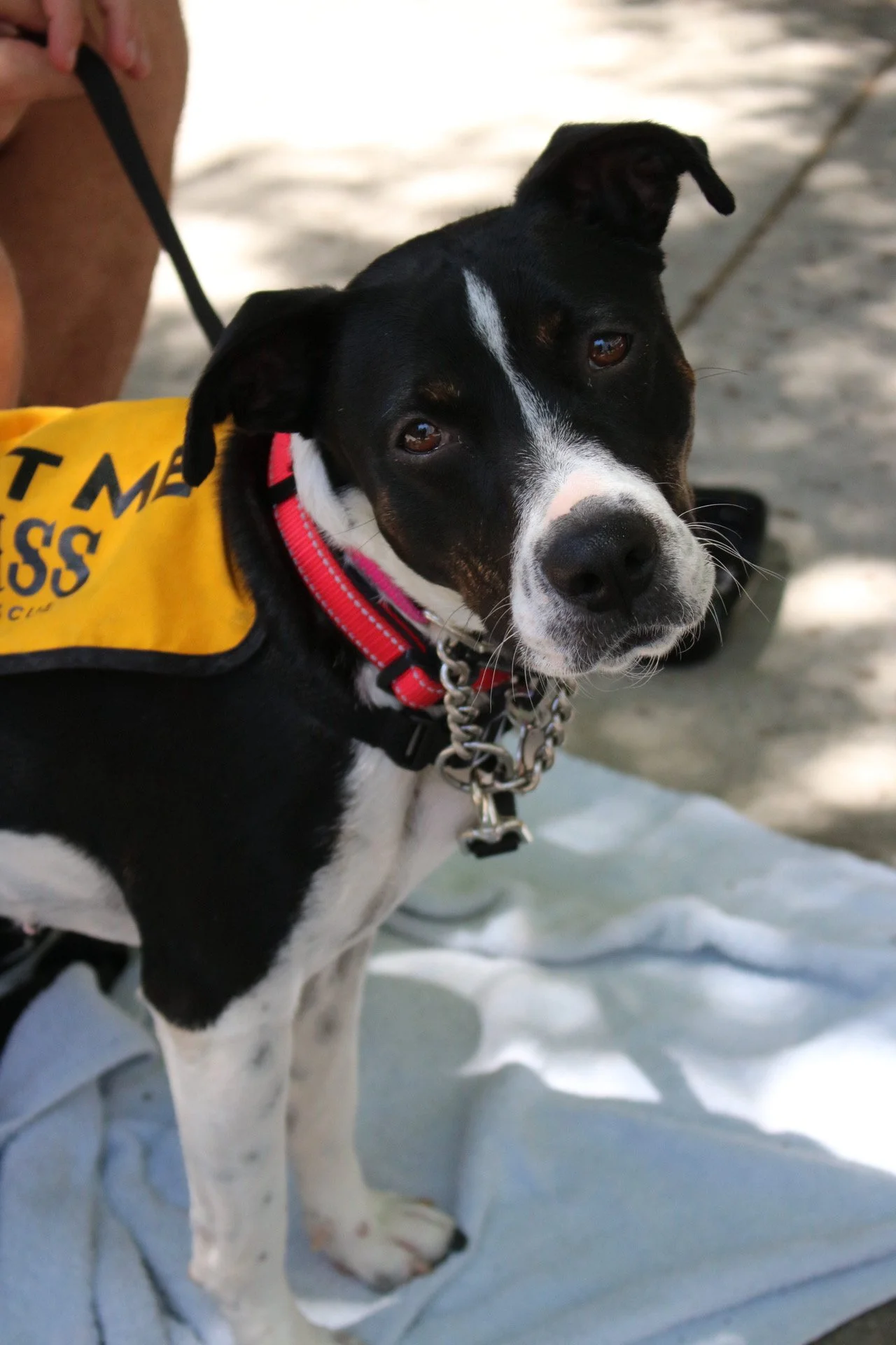 Freret - Adoption Event - Clare Lockhart 11.JPG