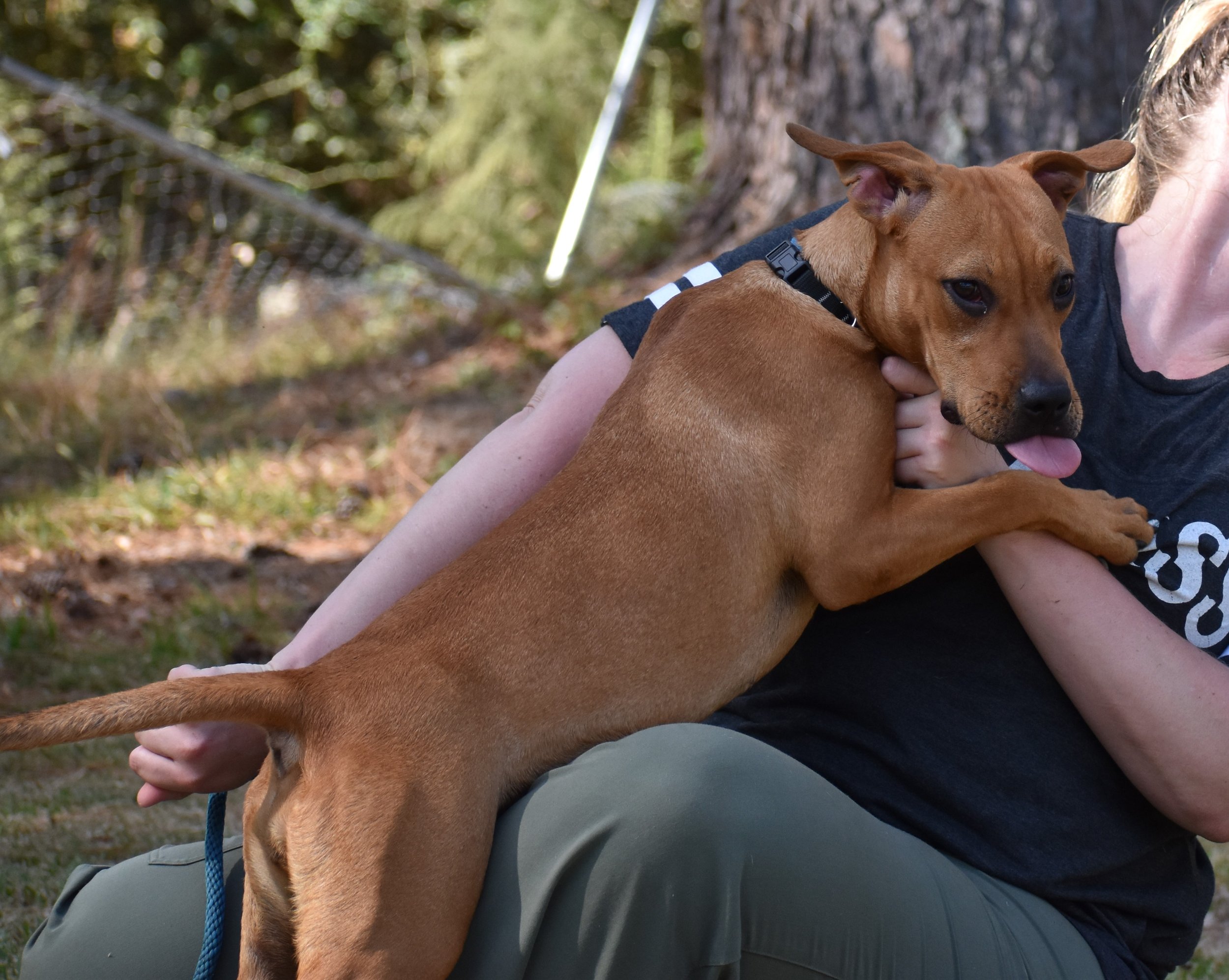 Coco Gauff - Shelter 4.JPG