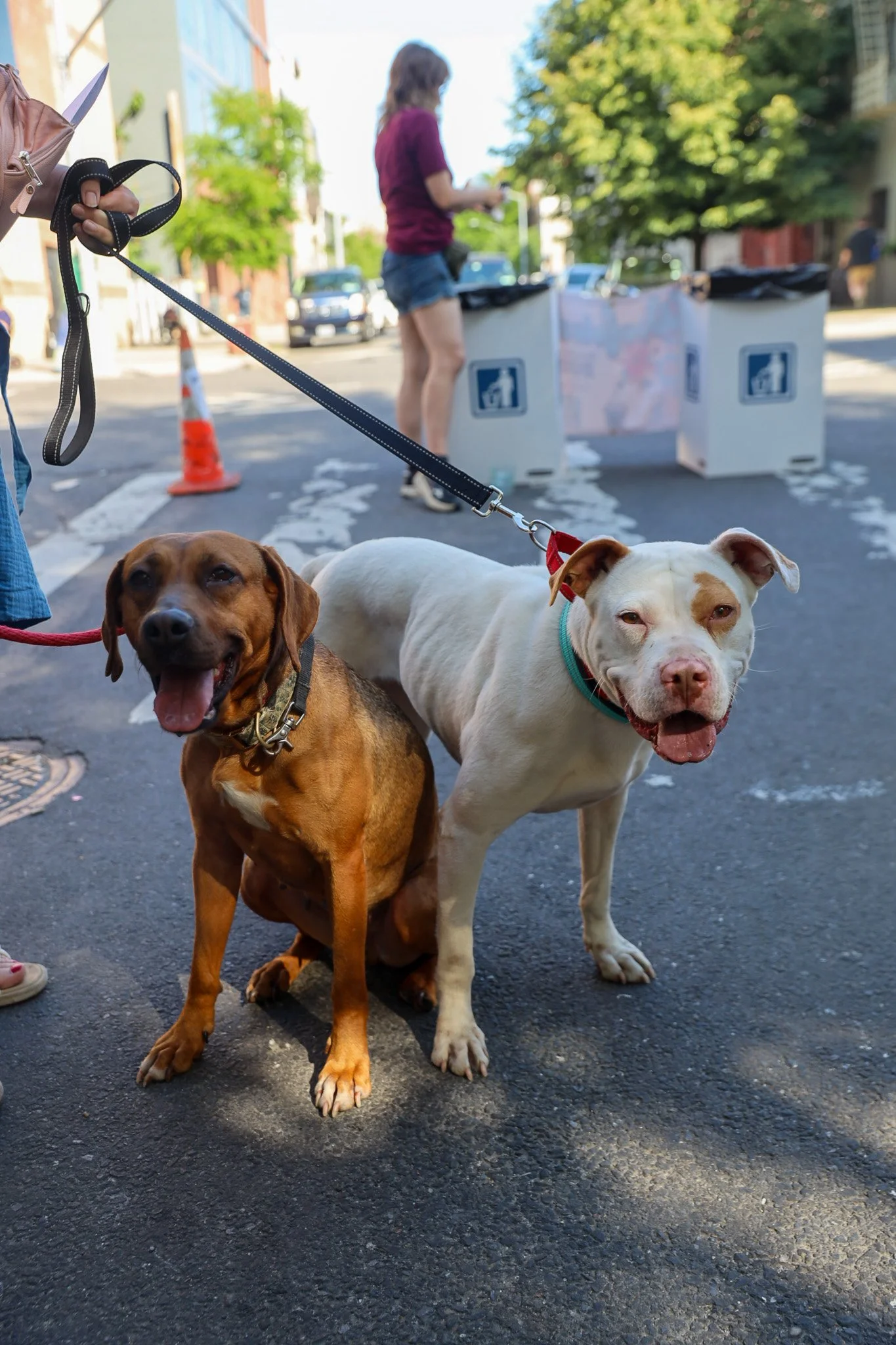 Kyra Milligan - Adoption Event - Alex Pai 4.jpg