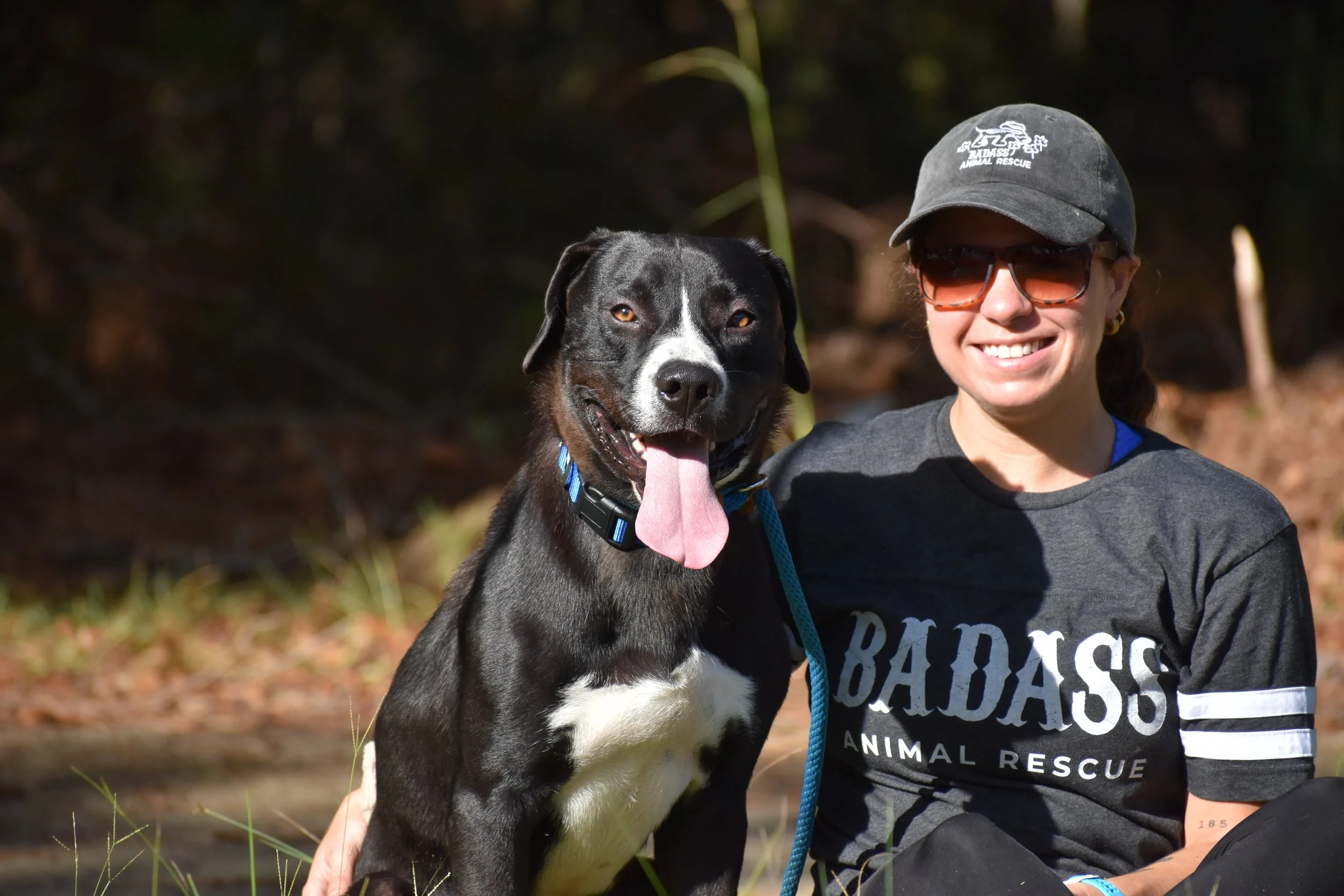 Khalil Shakir - Shelter 8.JPG