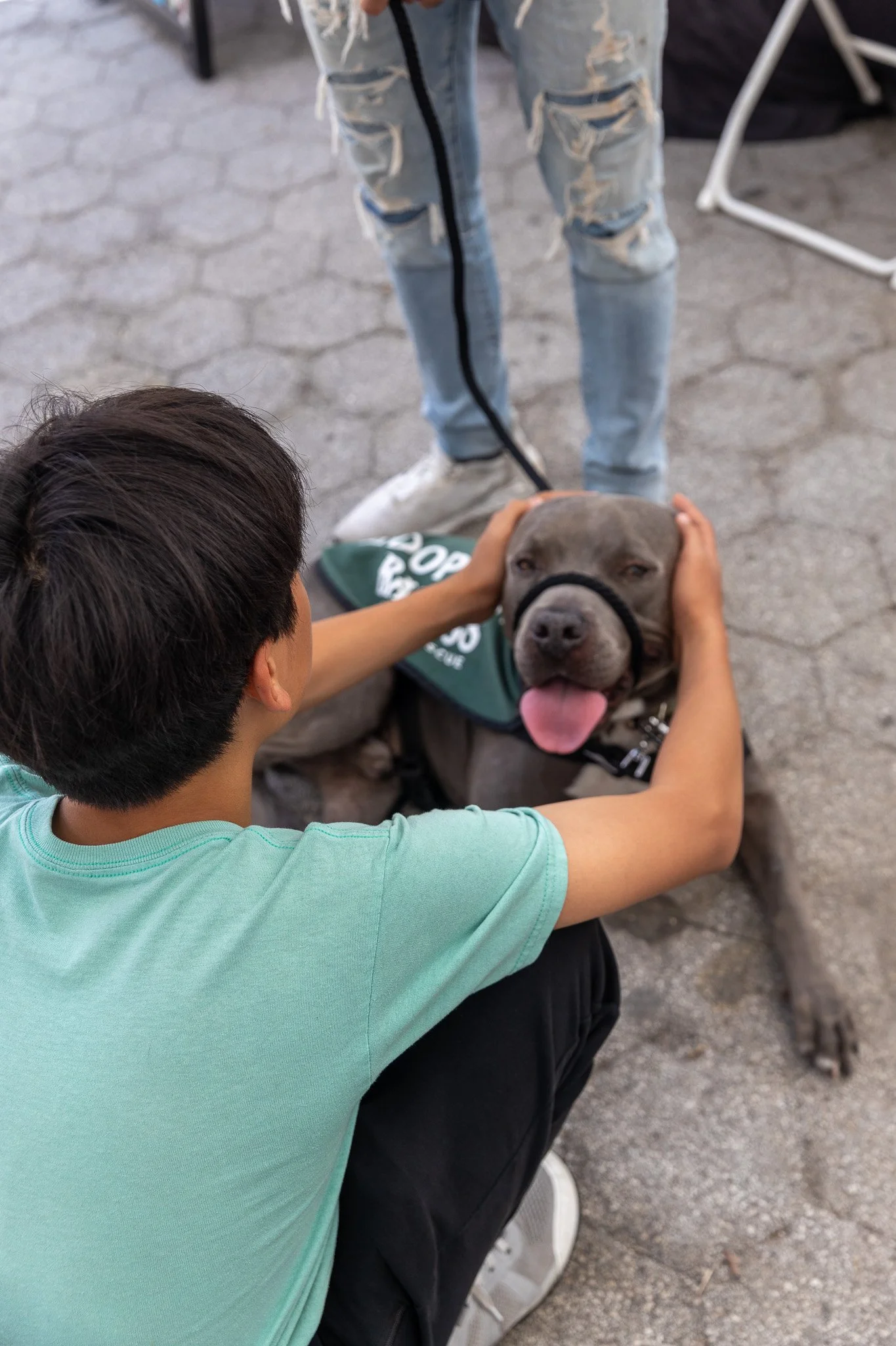 Tucks - Adoption Event - Alex Pai 23.jpg