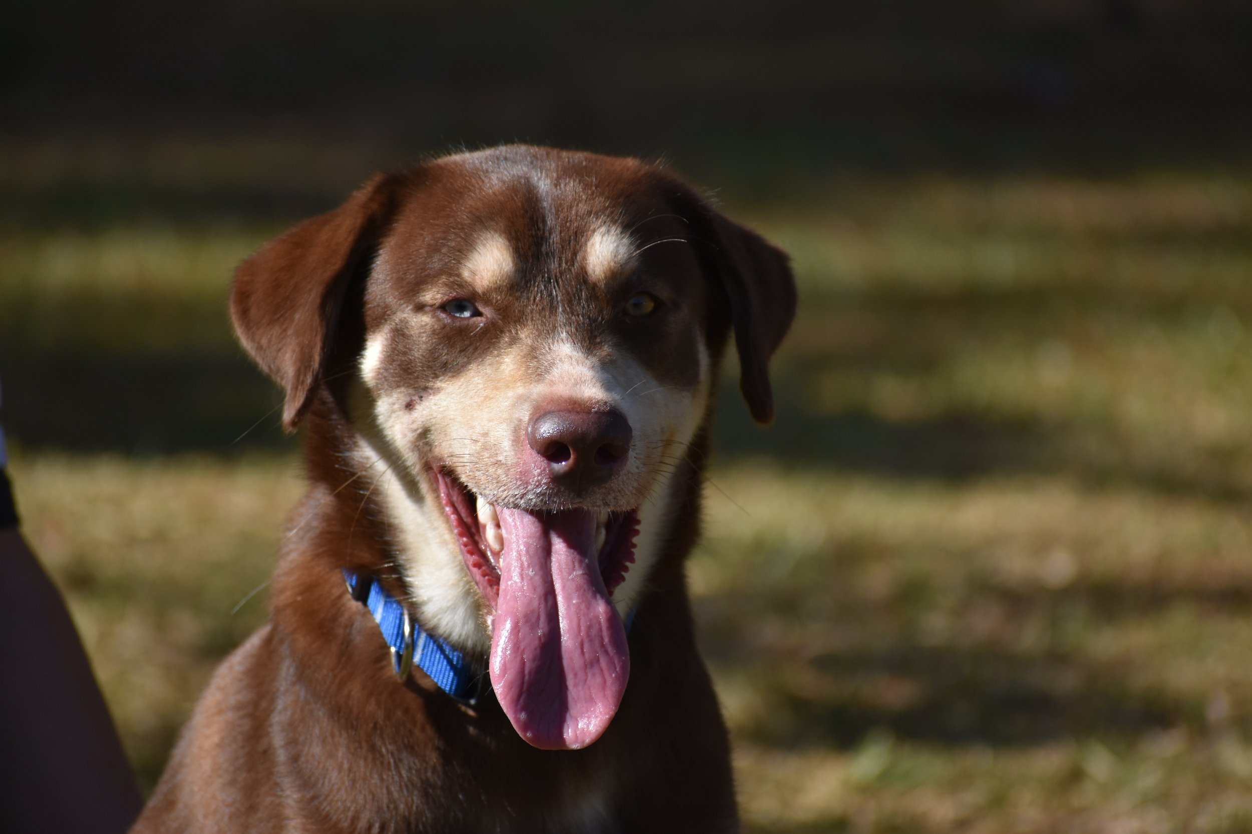 Leo Messi - Shelter 7.JPG