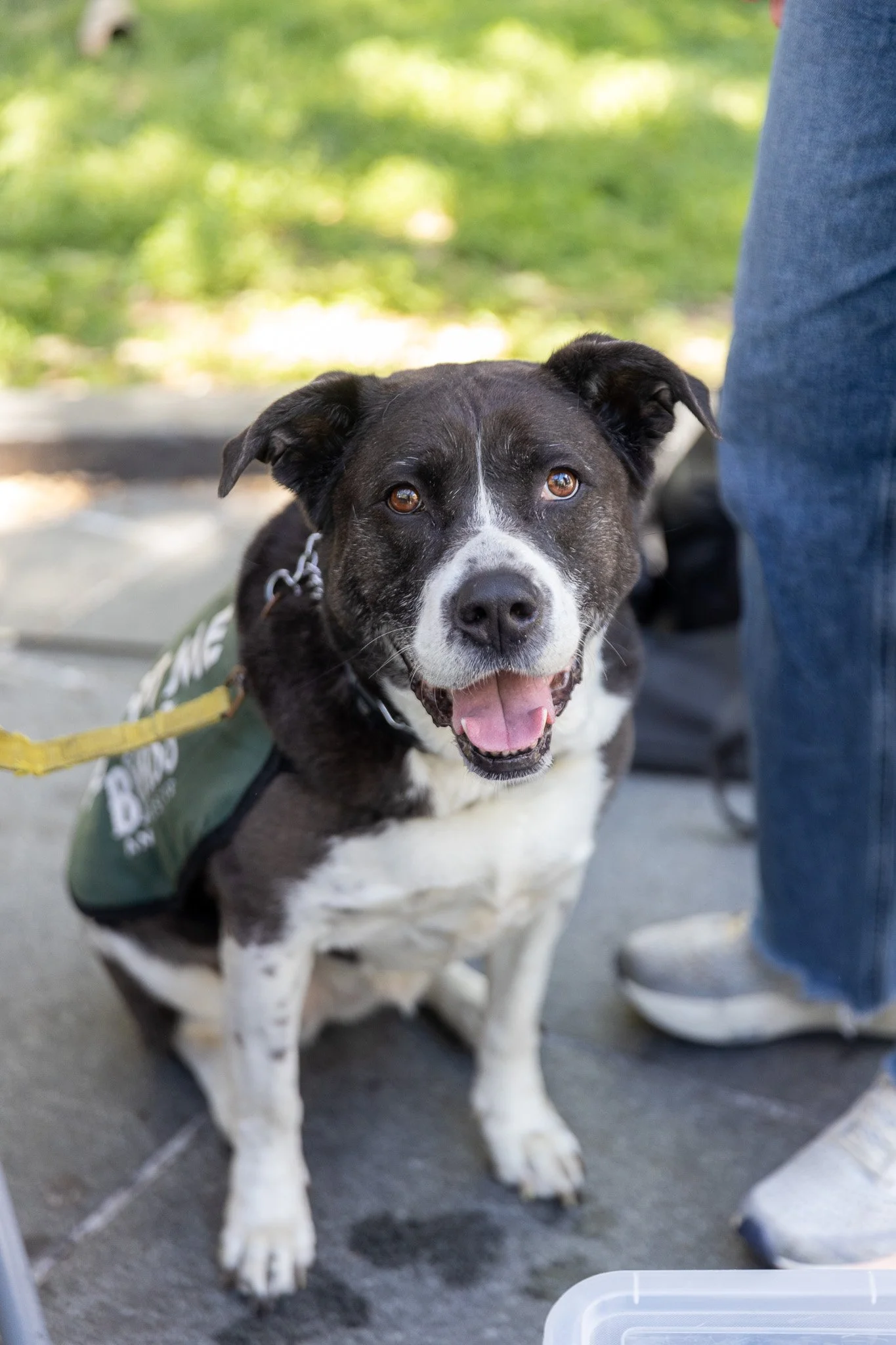 Justine Biagi - Adoption Event - Alex Pai 32.jpg