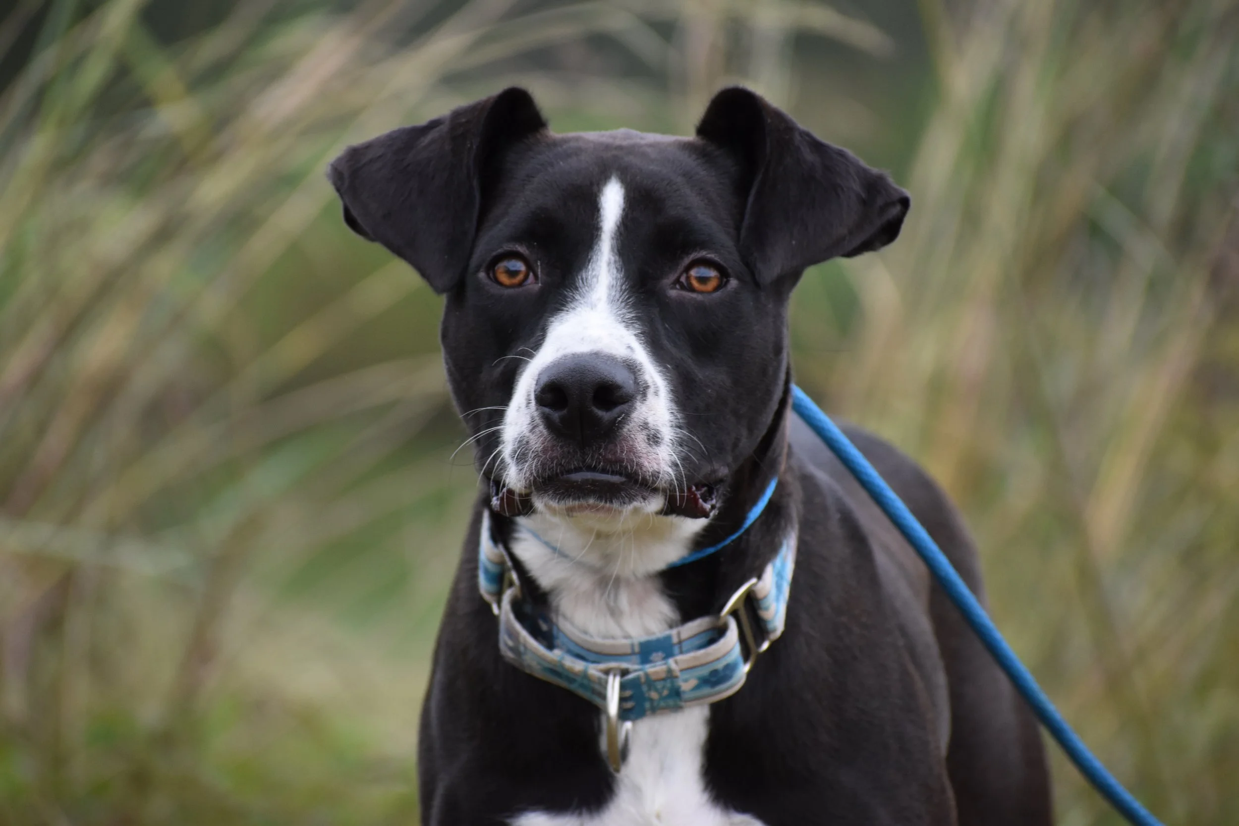 Aaron Judge - Shelter 12.JPG