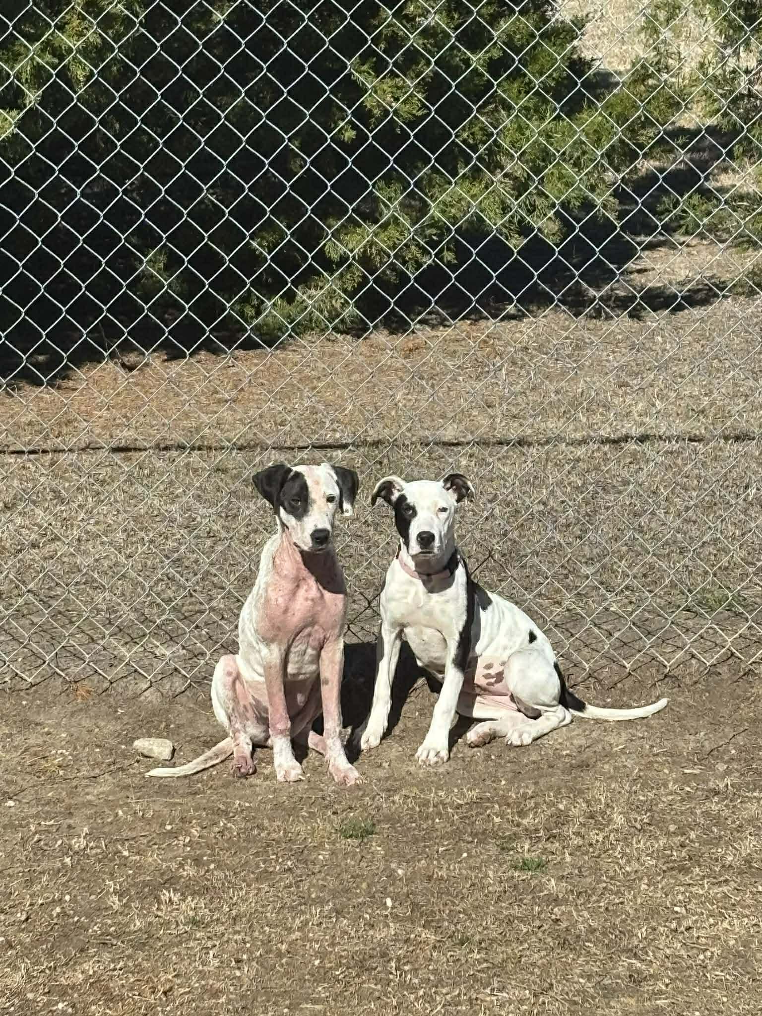 47561c4a-4144-4910-8dad-d8b00da9a3c3.jfif