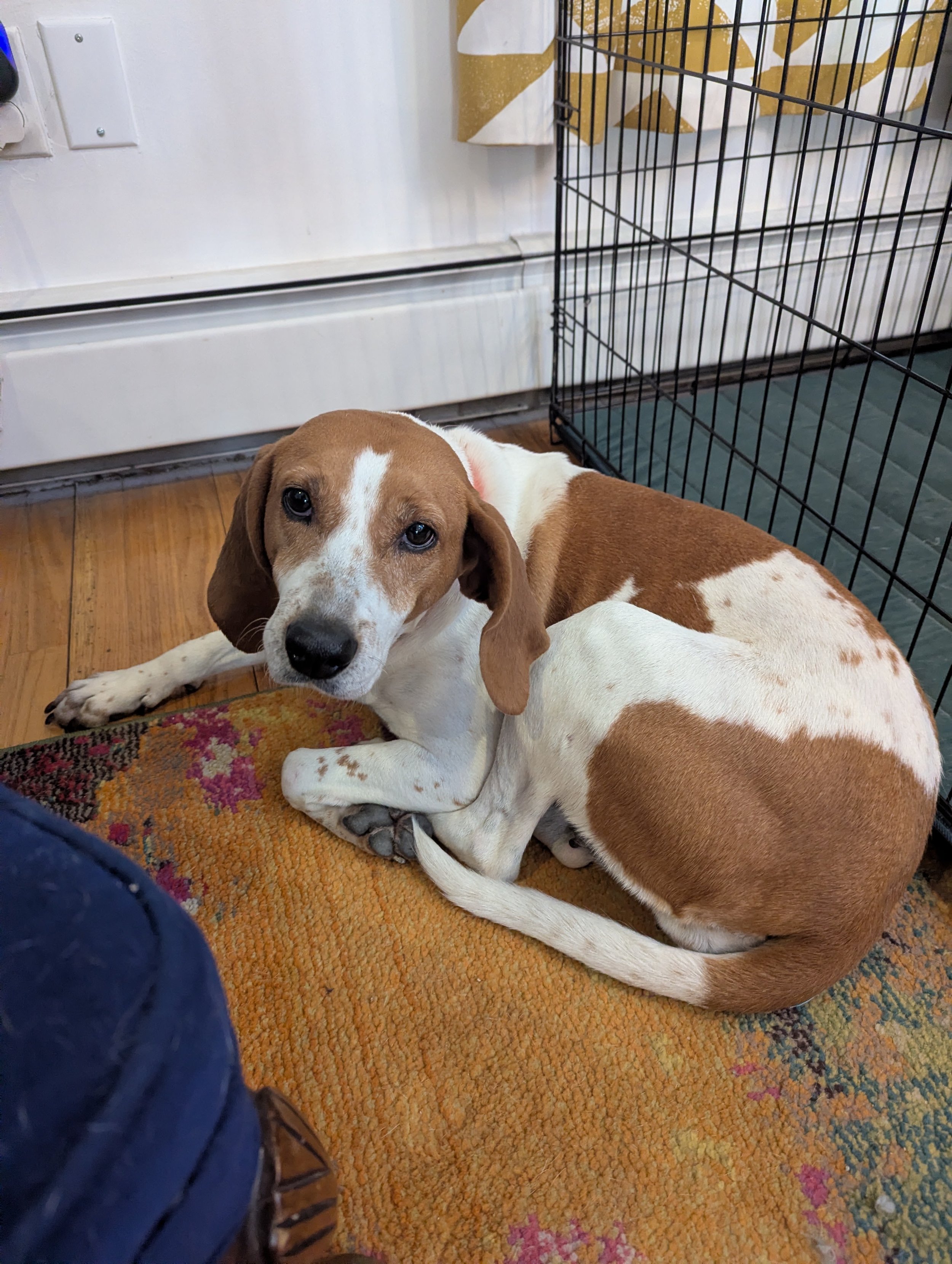 Julia Fox - NYC Foster 9.jpg