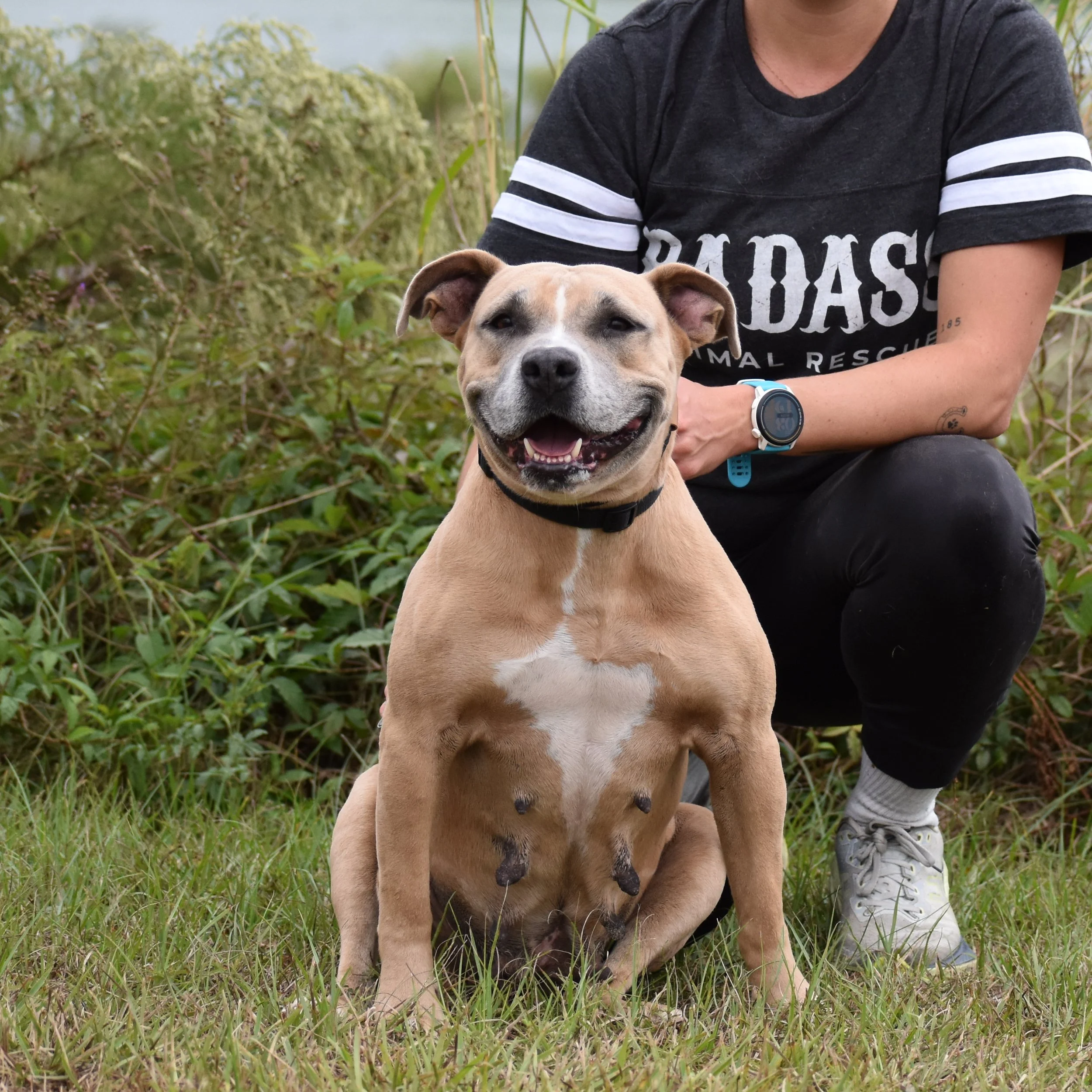 Shawn Johnson - Shelter 1.JPG