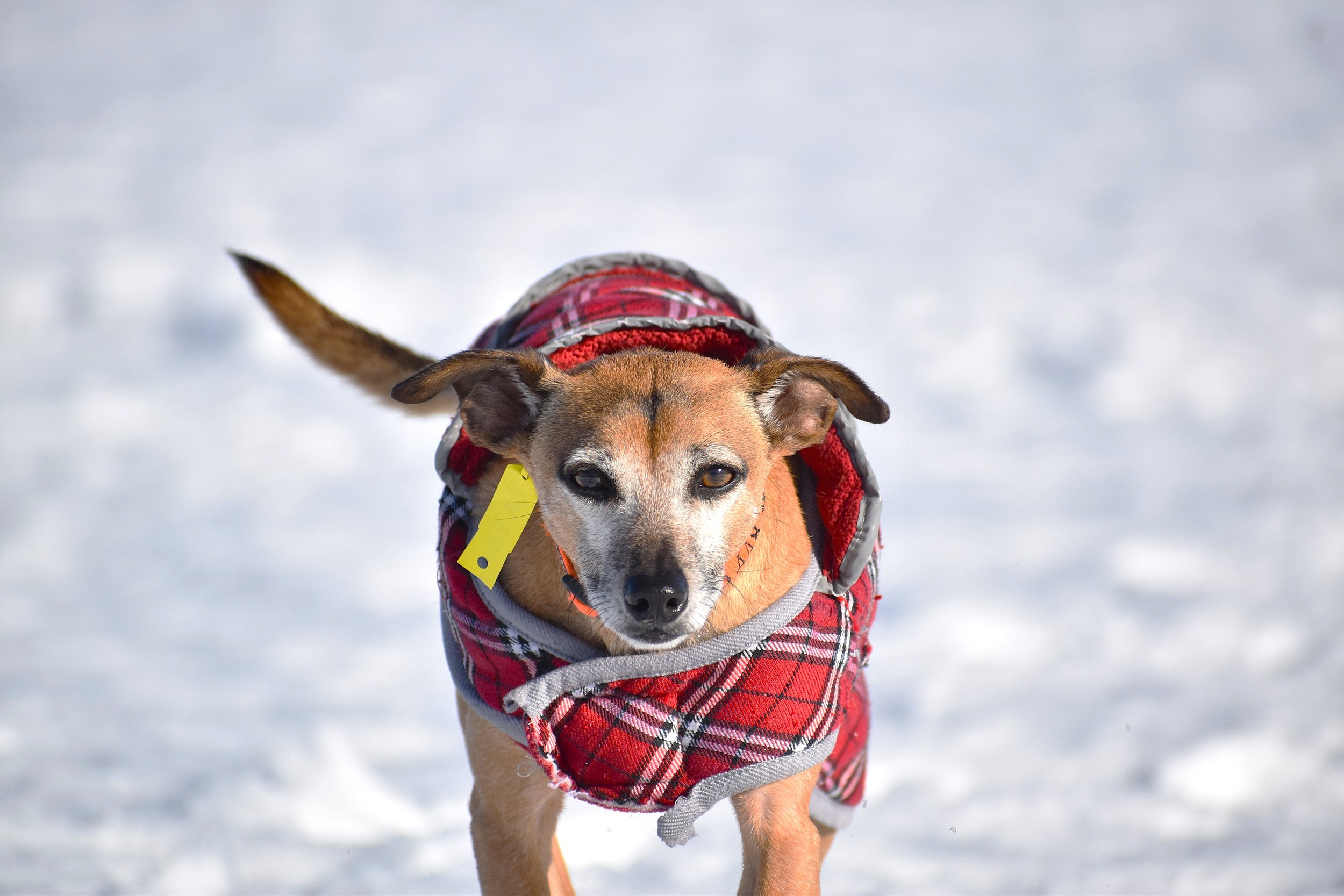 Eddie K 2 - Copy.jpg