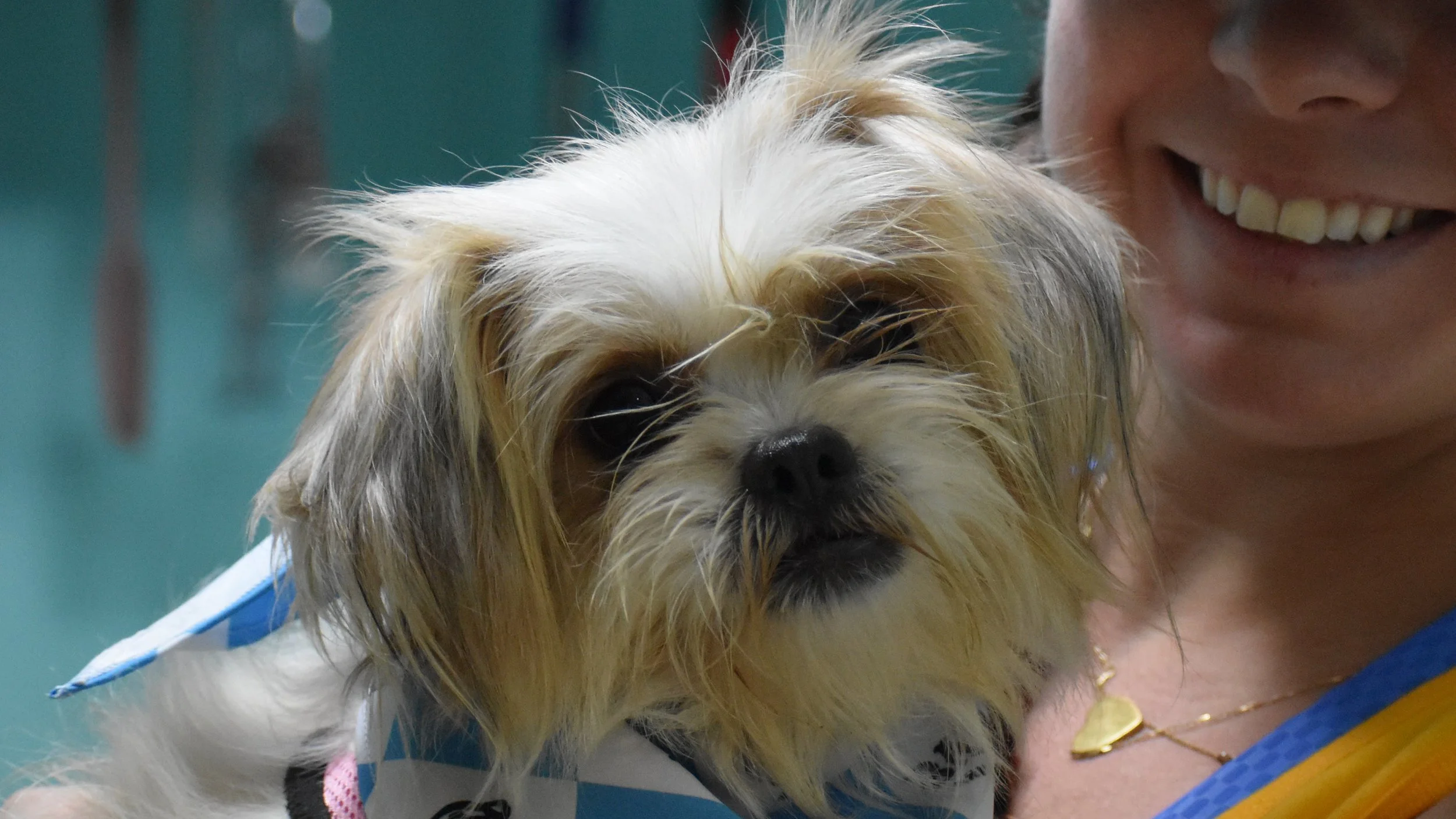 Muses - Shelter 3.JPG