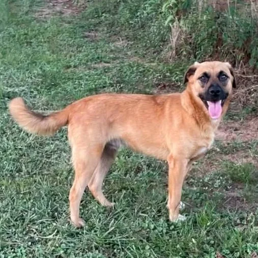 51a1ee35-845c-49cf-a61f-f66904acb3ef (1).jpeg