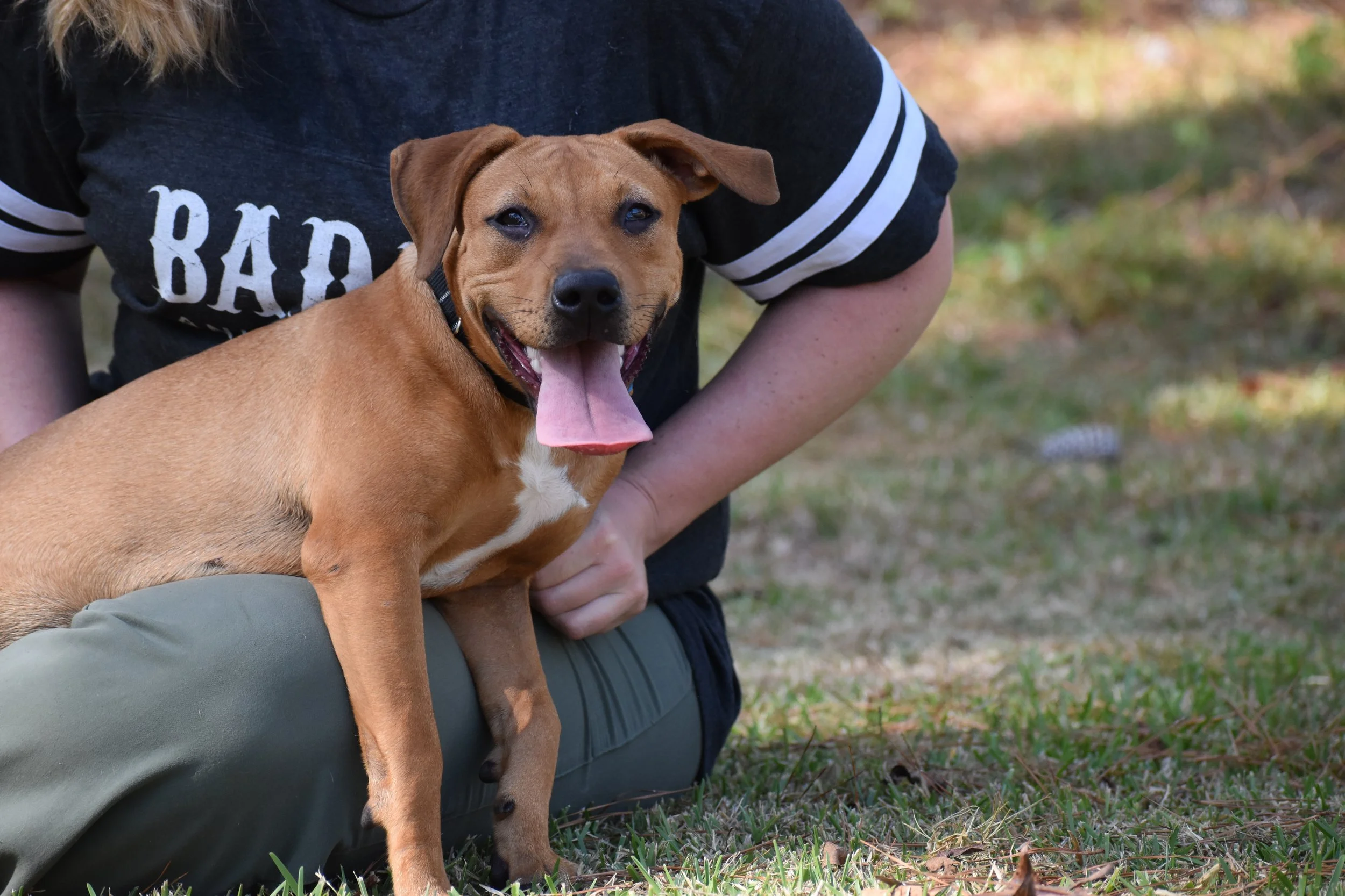 Coco Gauff - Shelter 8.JPG