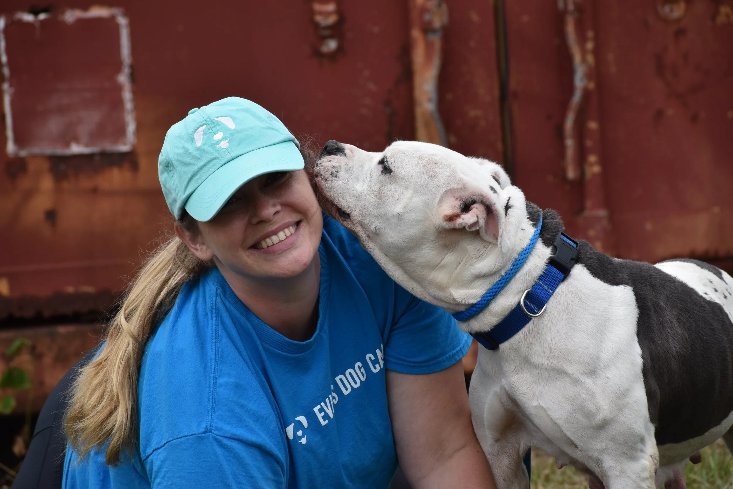 Boom - Shelter 2.JPG