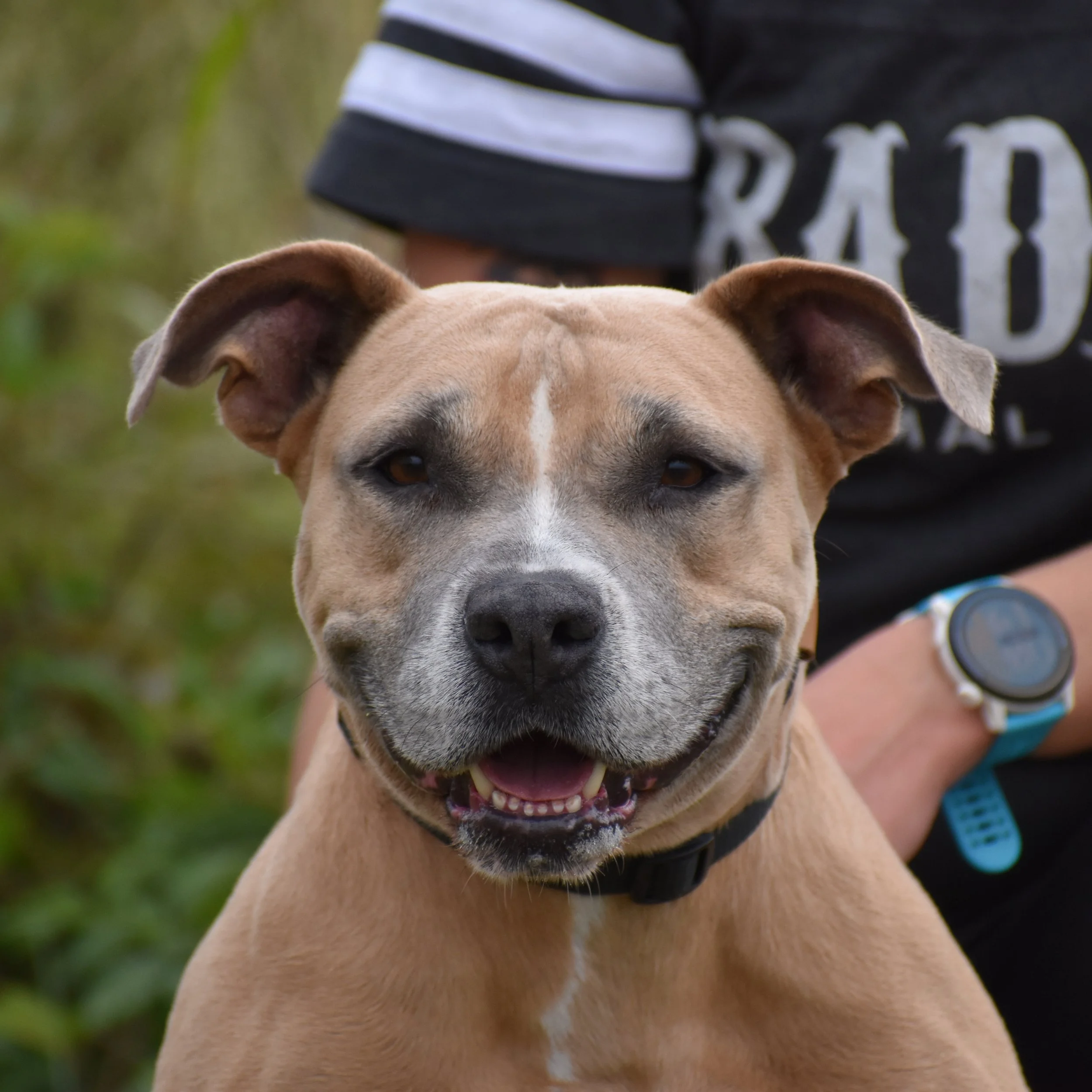 Shawn Johnson - Shelter 5.JPG