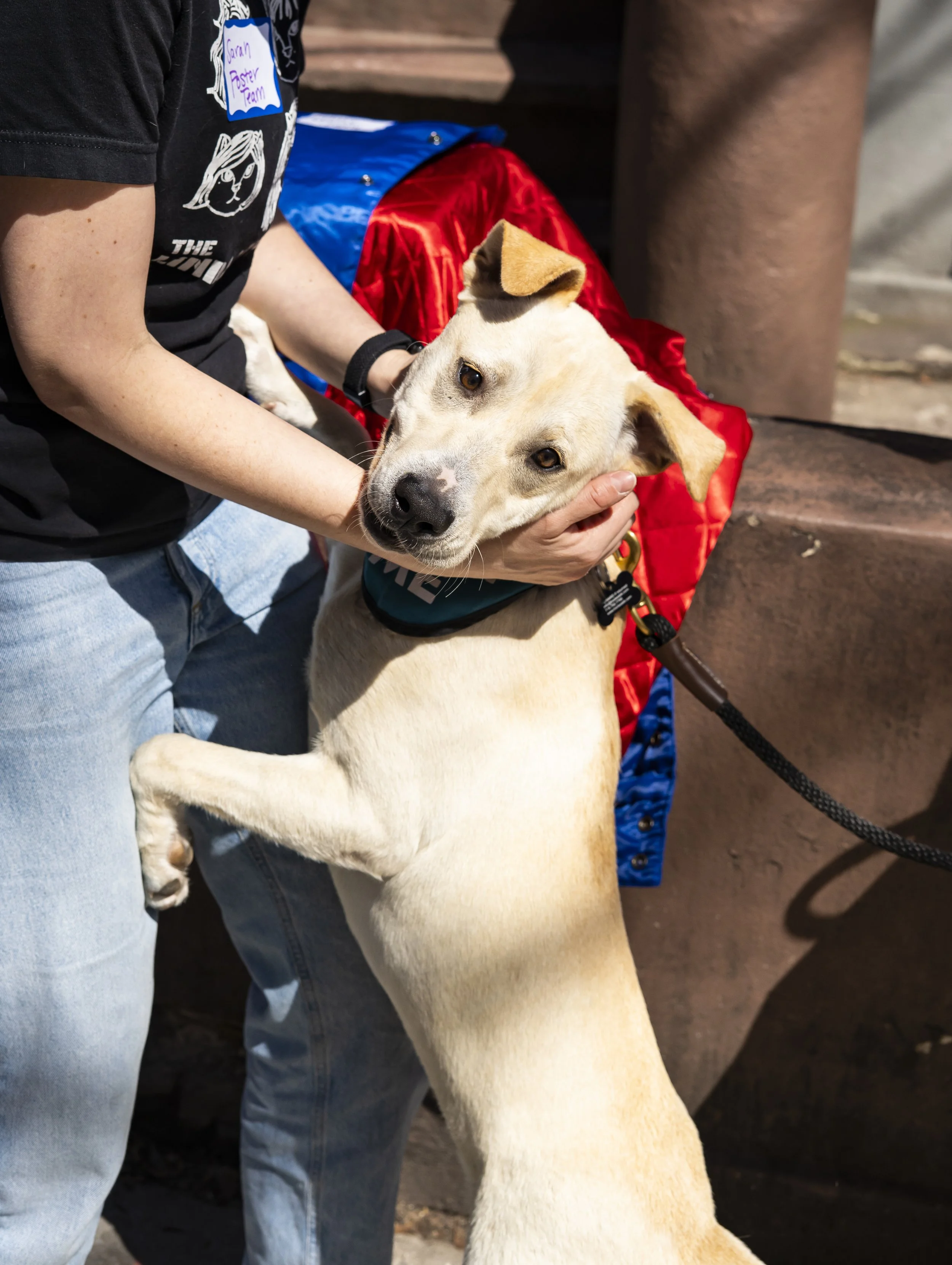 Celine - Adoption Event - Carly Boyle - 4.jpg