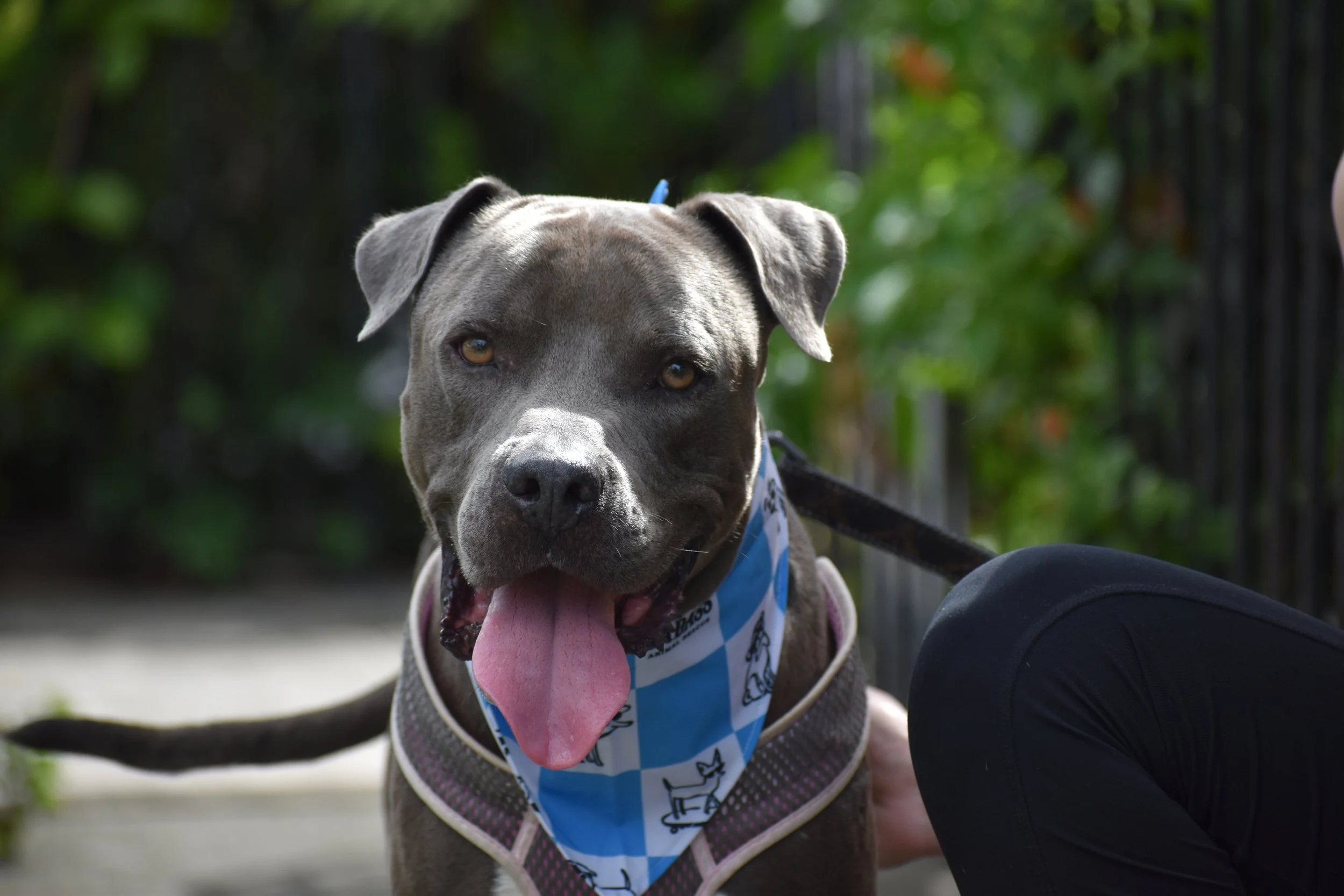 Tucks - Shelter 10.JPG