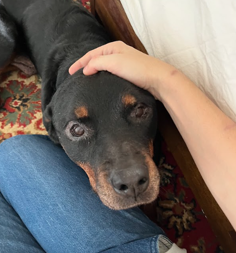 Screenshot 2026-02-26 9.20.47 AM.png