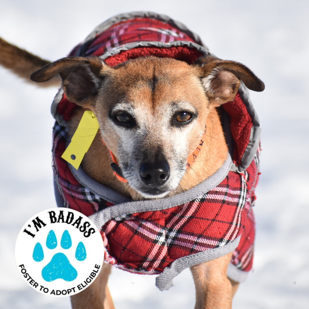 Eddie Kendricks - Foster To Adopt.png