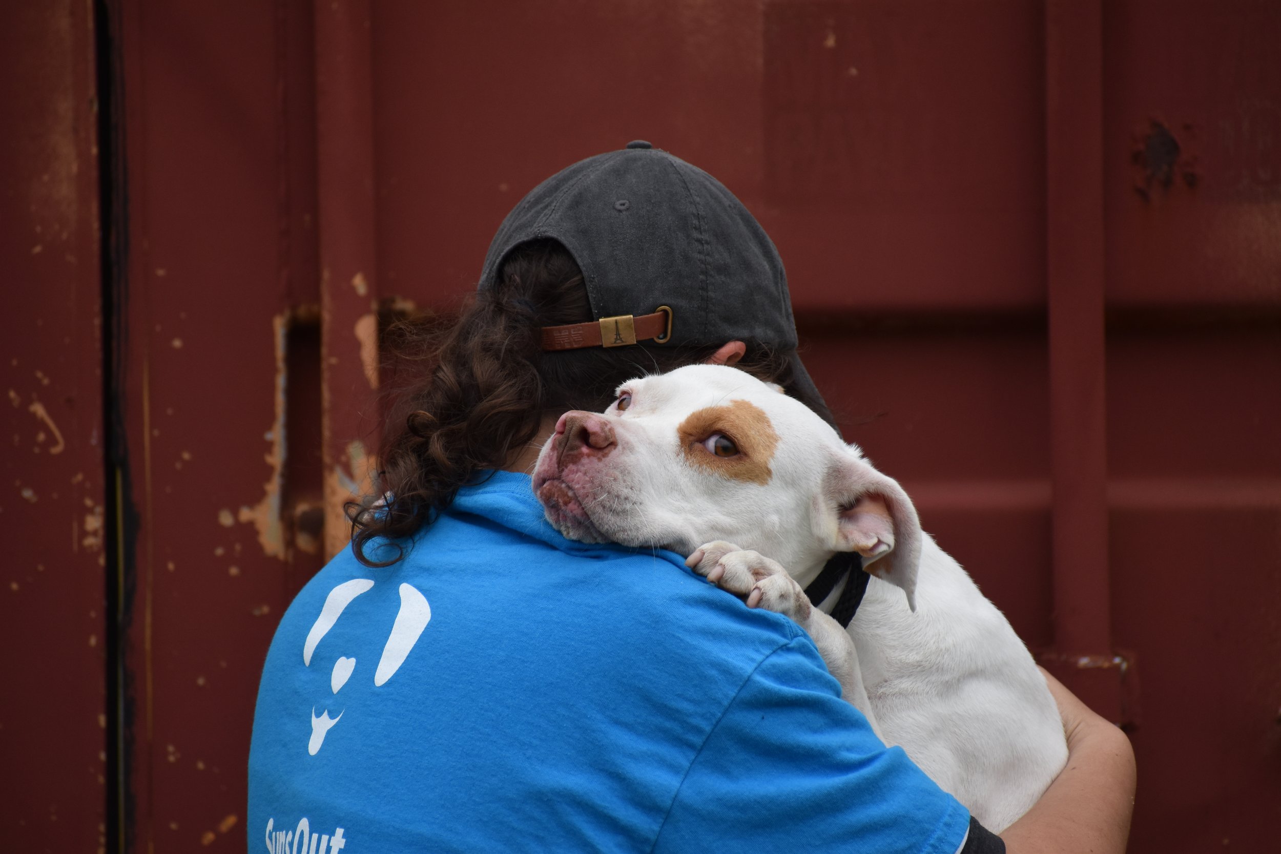 Kyra Milligan - Shelter 1.JPG