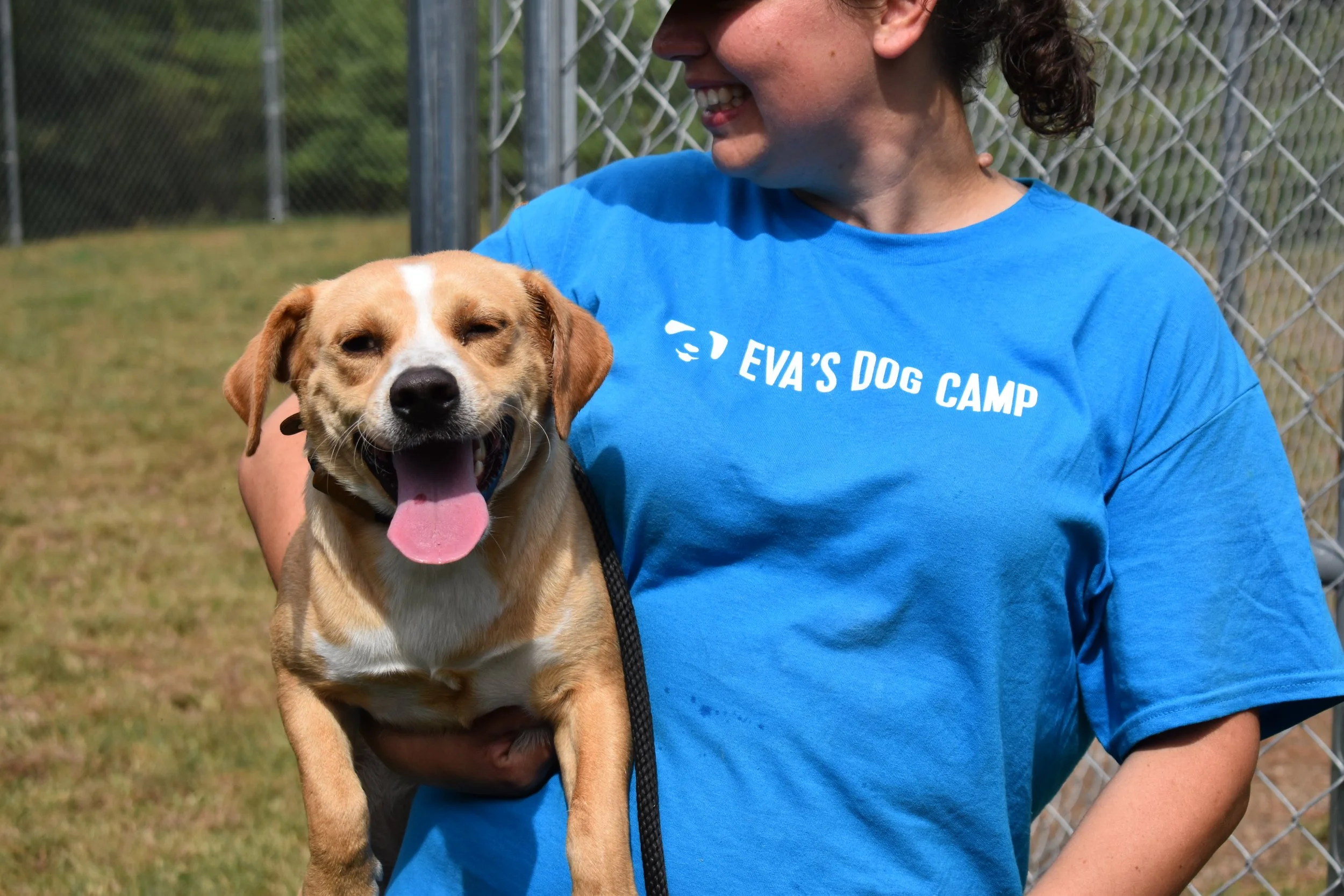 Pete Alonso - Shelter 1.JPG