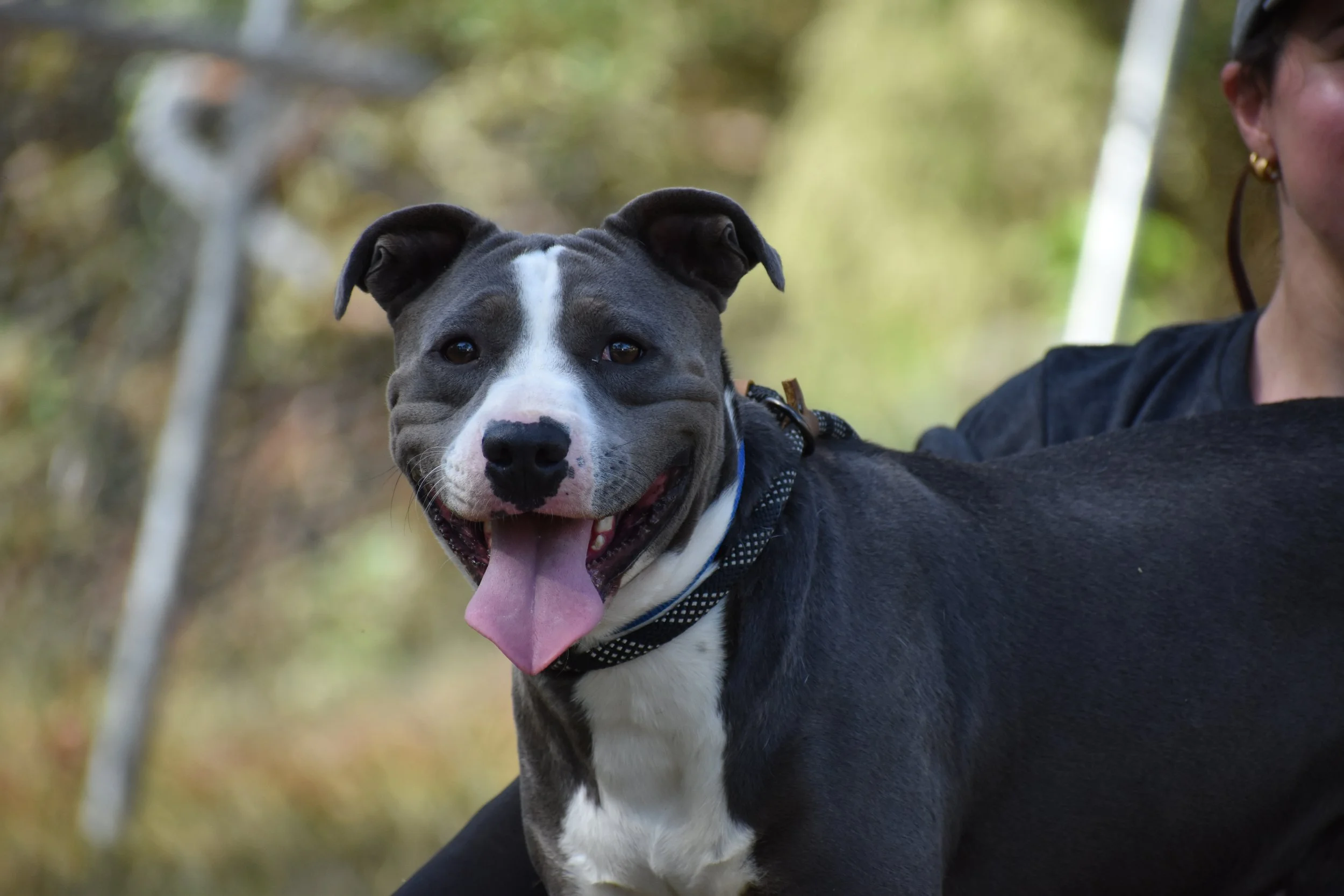 Nikola Jokic - Shelter 5.JPG