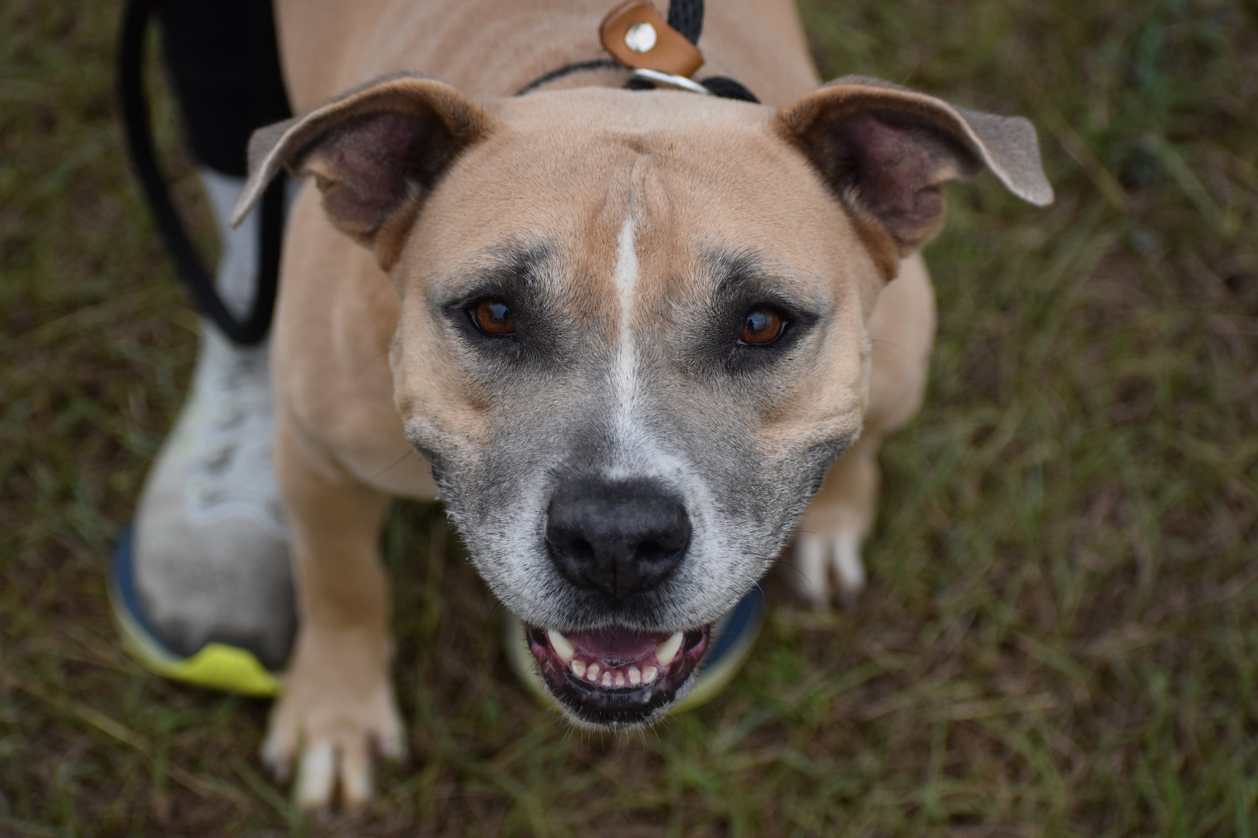 Shawn Johnson - Shelter 8.JPG