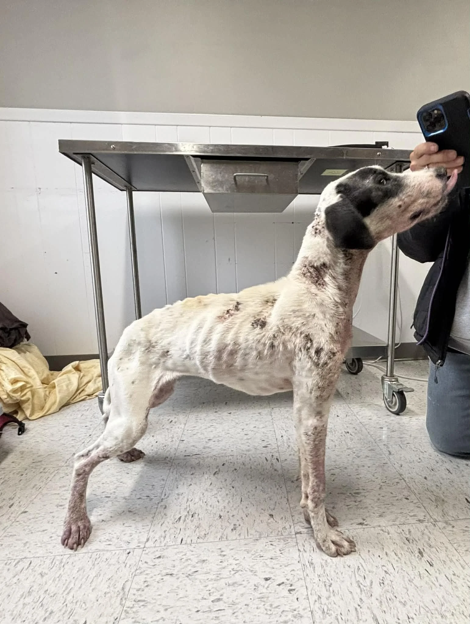 961bf99b-8690-49fe-8b9c-7beb929de0a2 (1).jfif